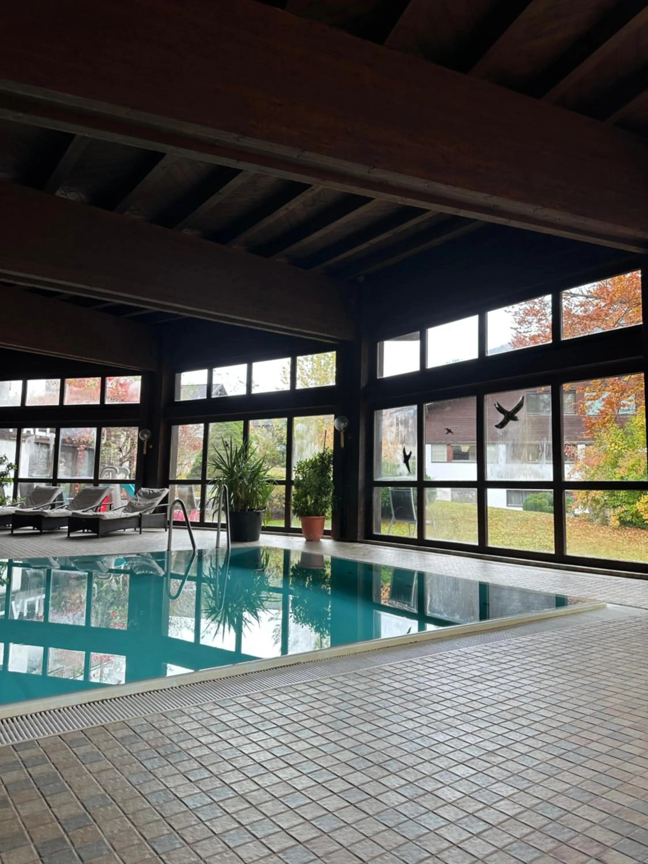 Spa and wellness centre/facilities in Hotel Wilder Mann