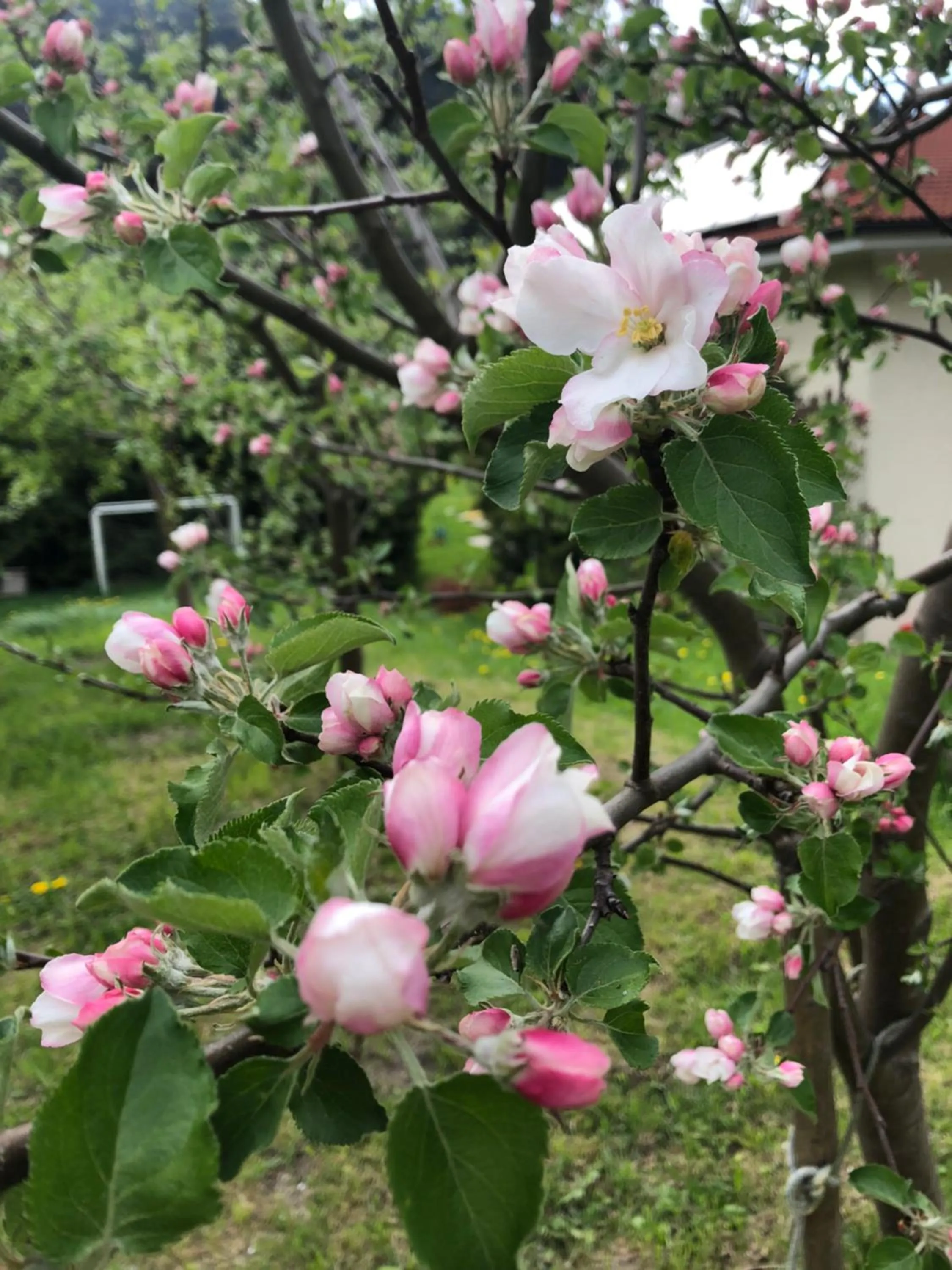 Nearby landmark in Hotel Wilder Mann