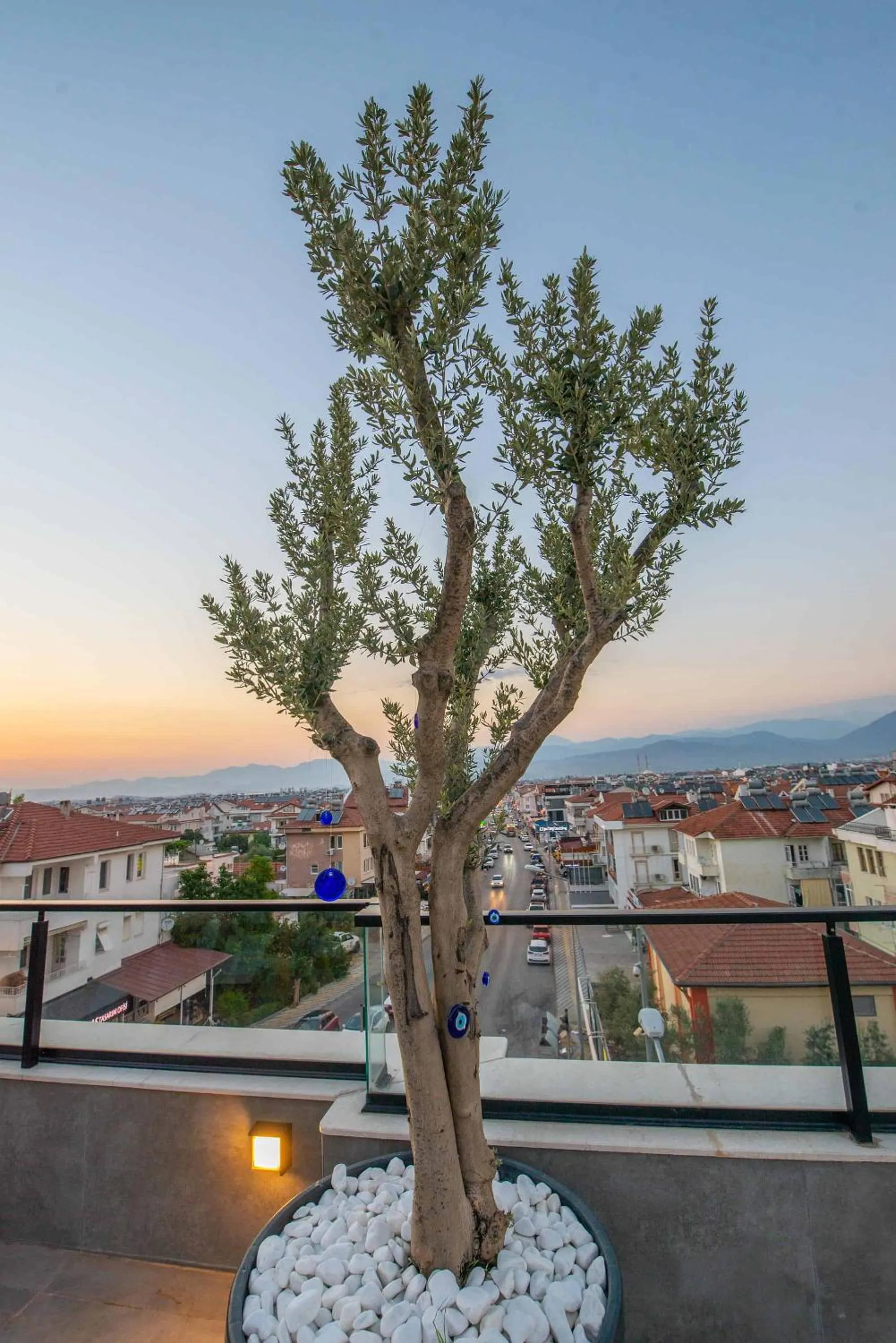 Day in Belci City House