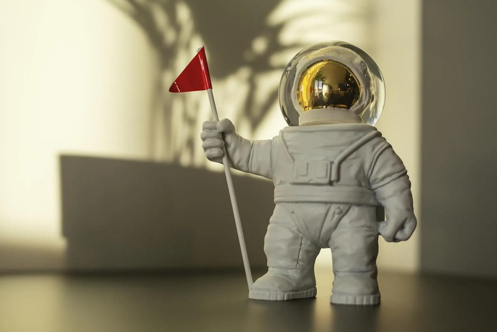 Photo of the whole room in the niu Star