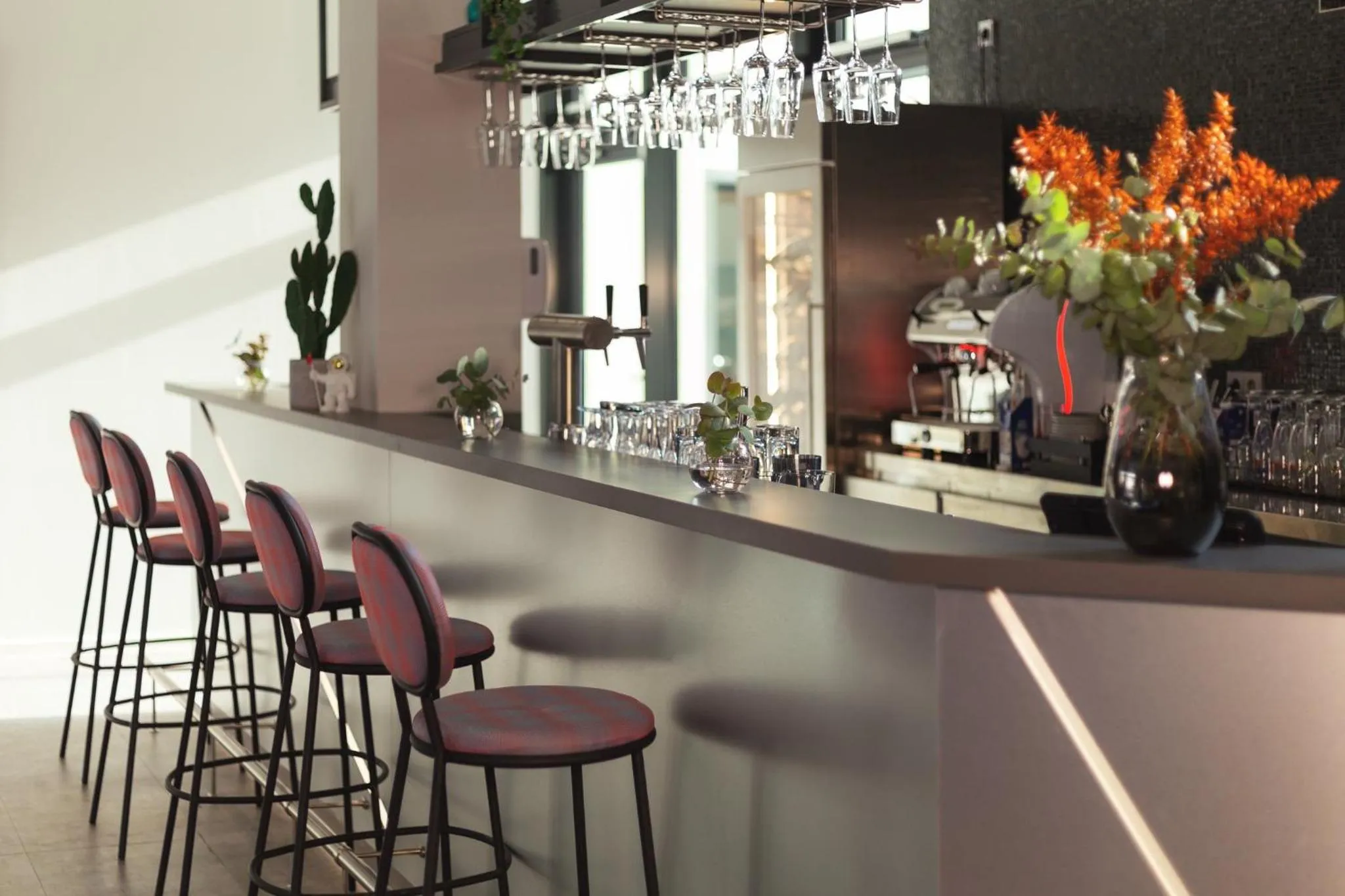 Lounge or bar in the niu Star