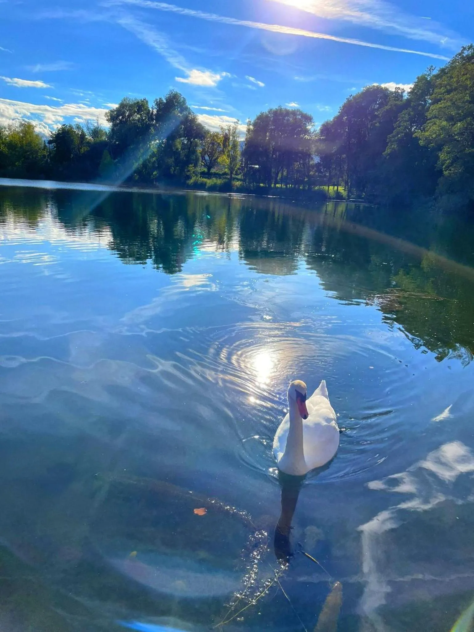 Lake view in Hotel Seestuben