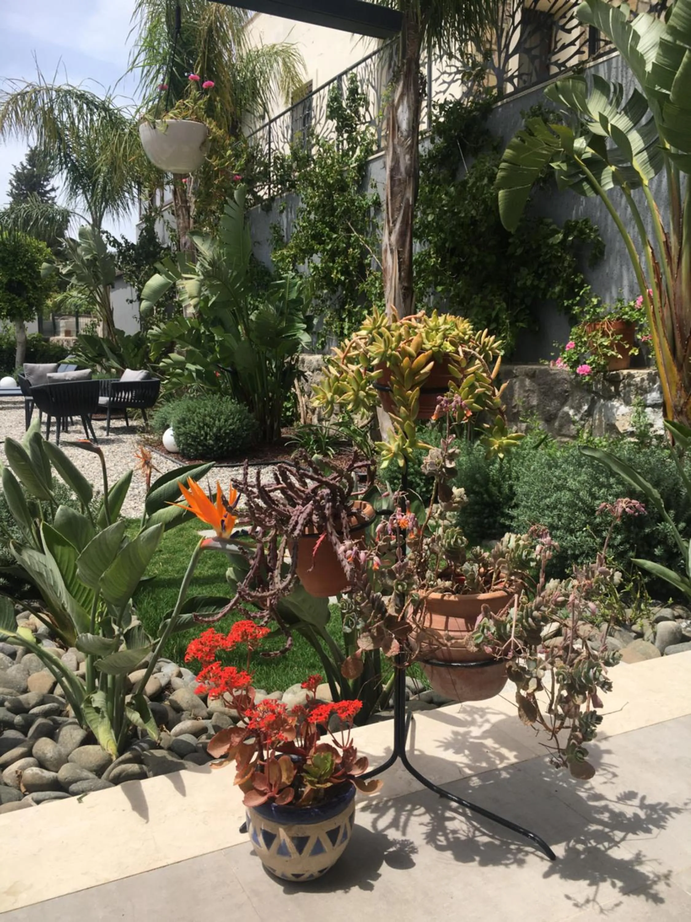 Garden in Villa Oliva Butik Hotel