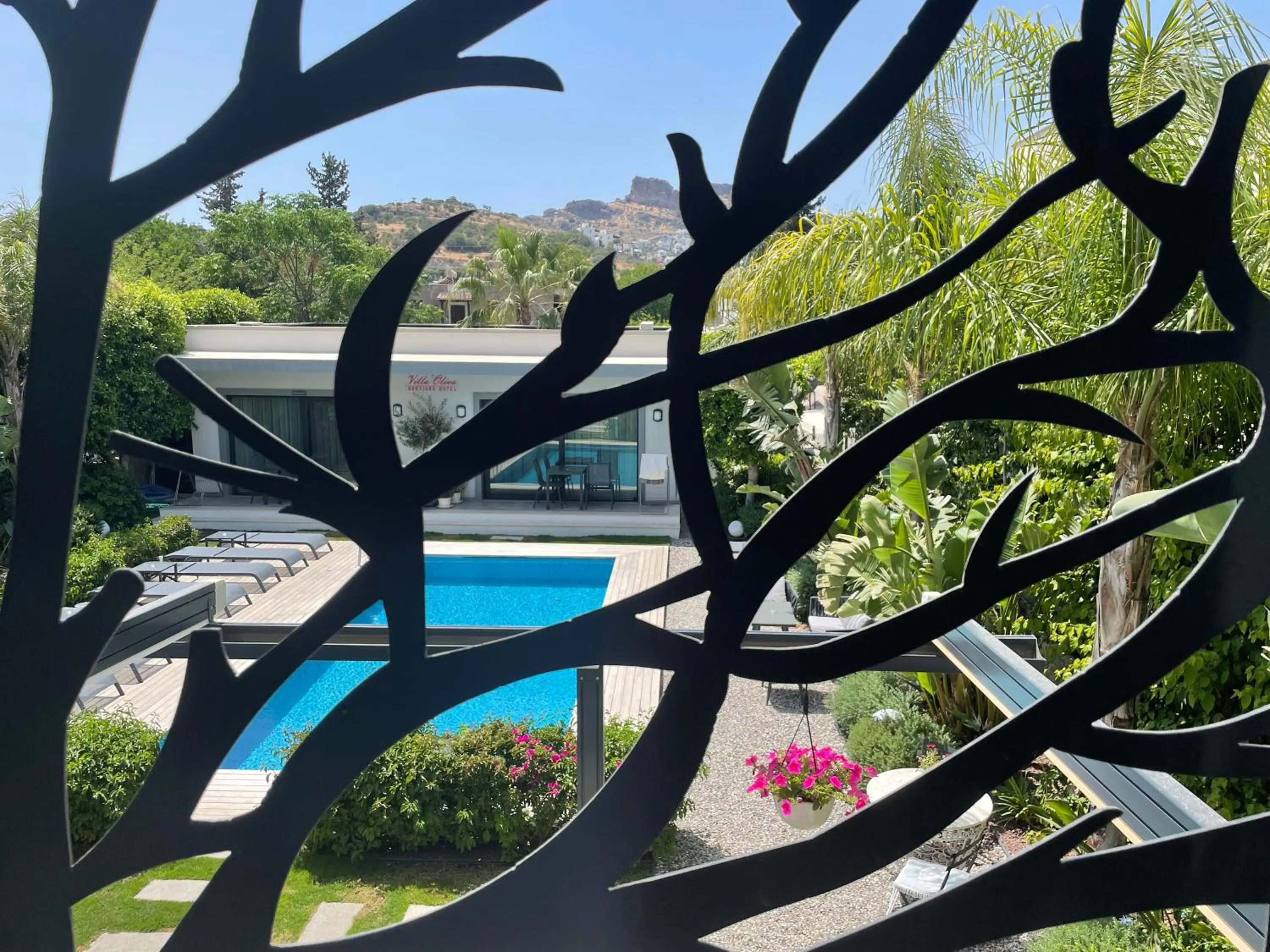 Pool view in Villa Oliva Butik Hotel