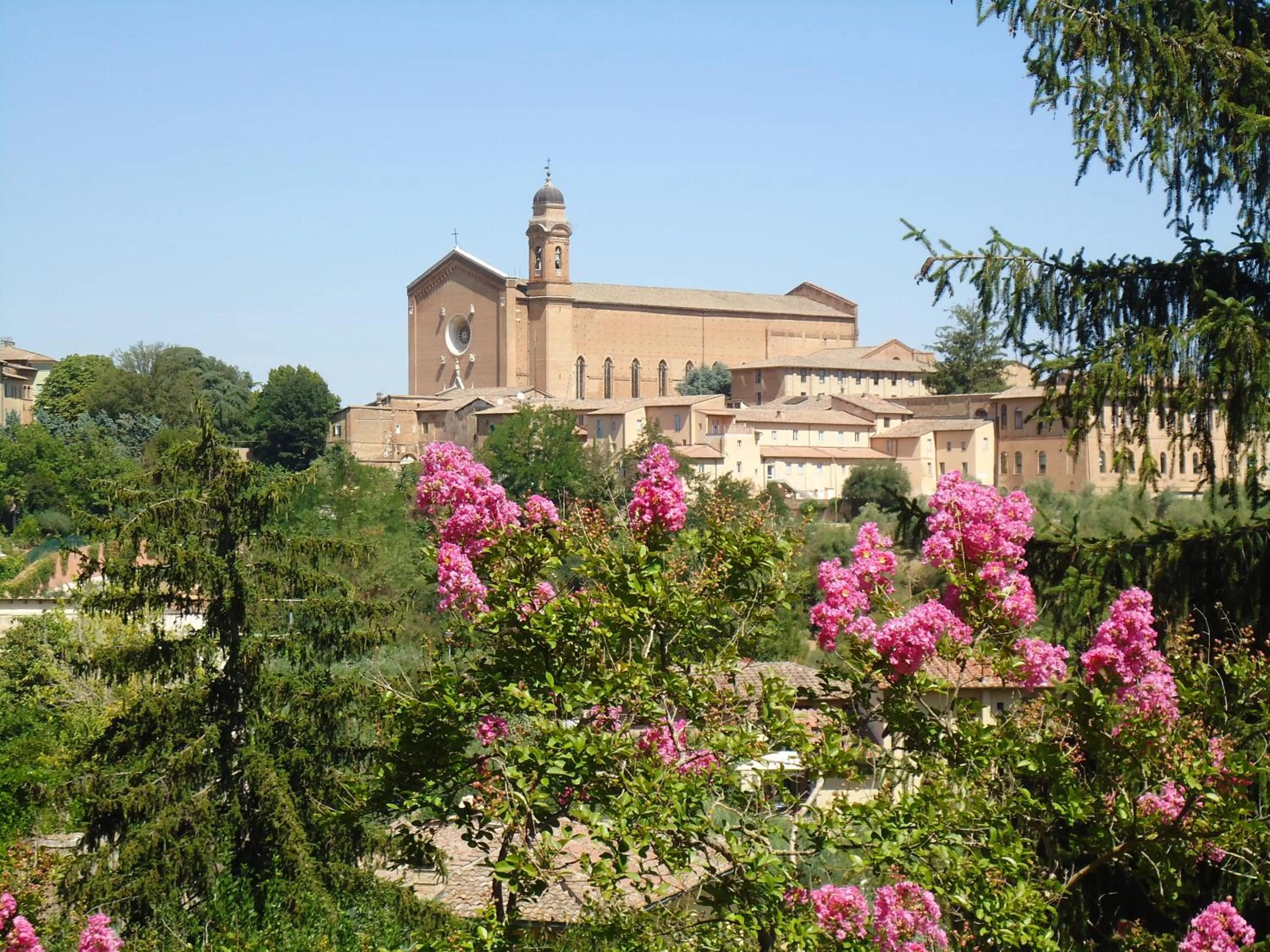 View (from property/room) in B&B Pantaneto - Palazzo Bulgarini