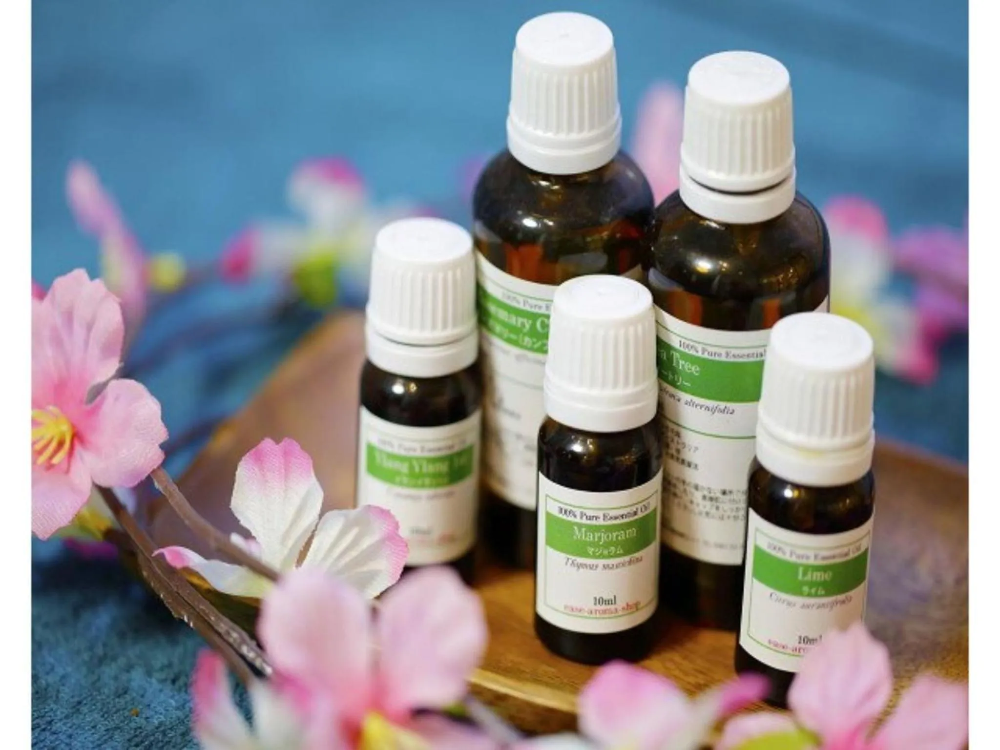 Tokyo Inn - Vacation STAY 11102v