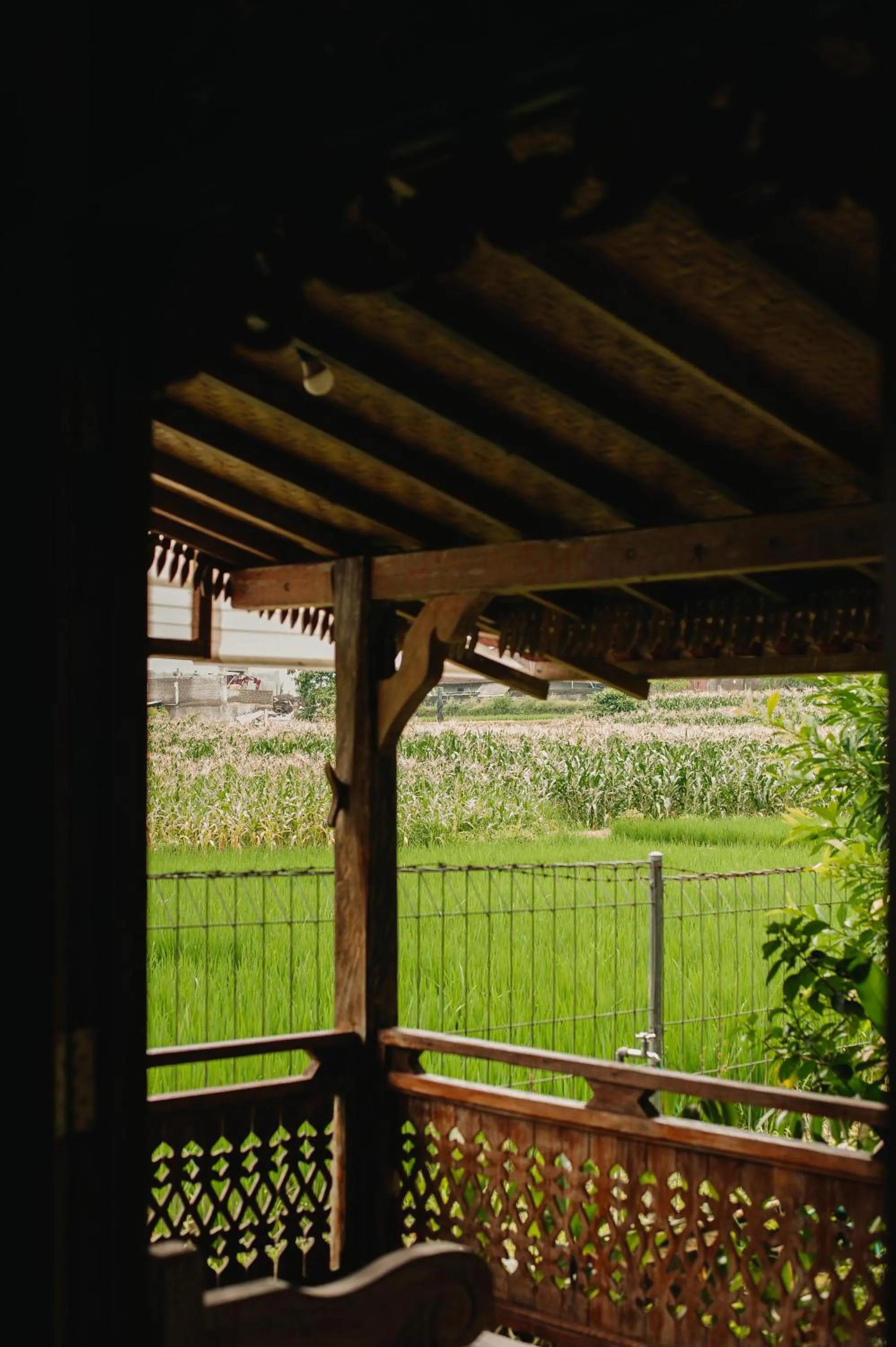 View (from property/room) in Nauna Villa Bali