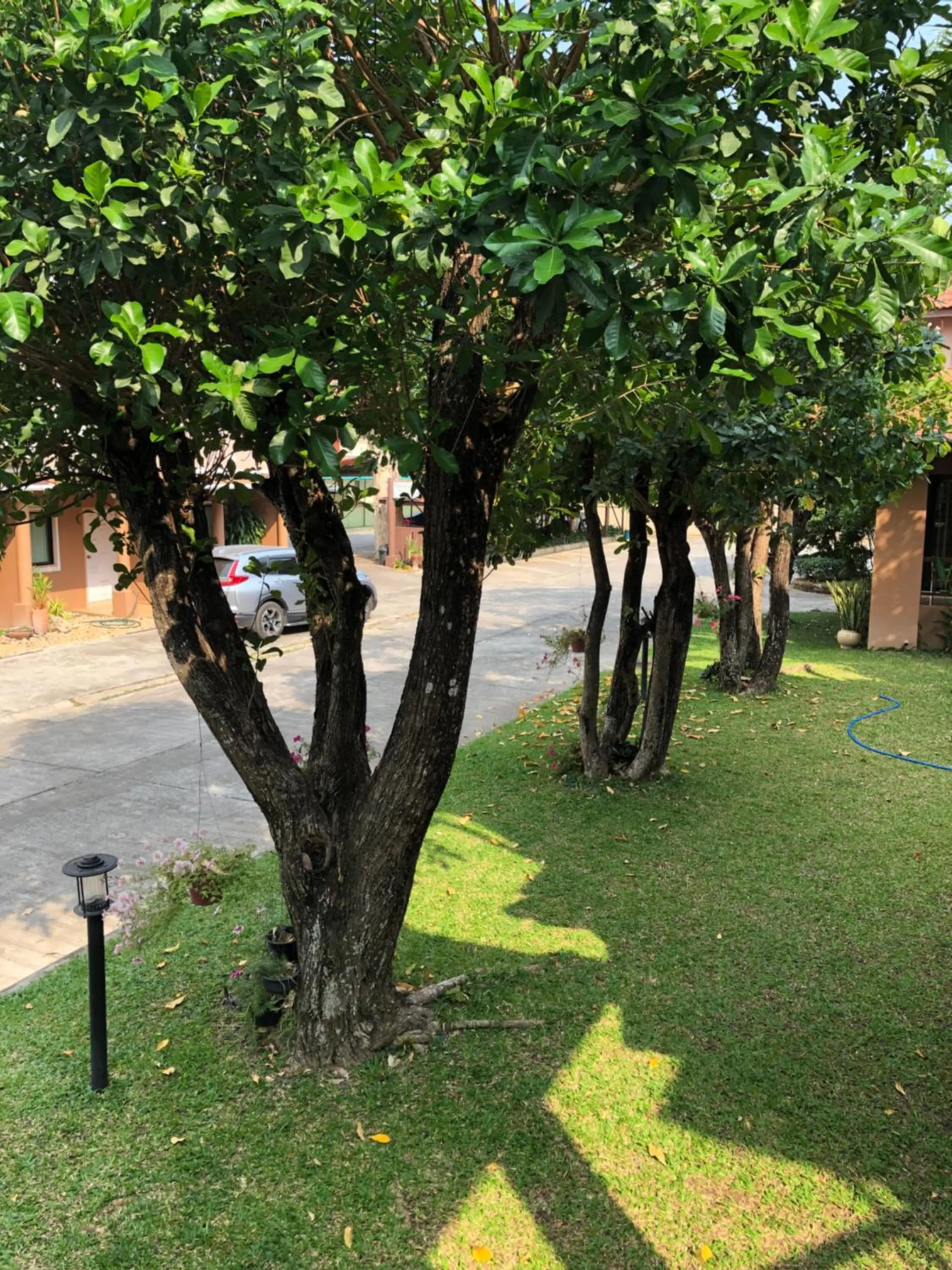 Garden in Areena Resort and Hotel Uttaradit