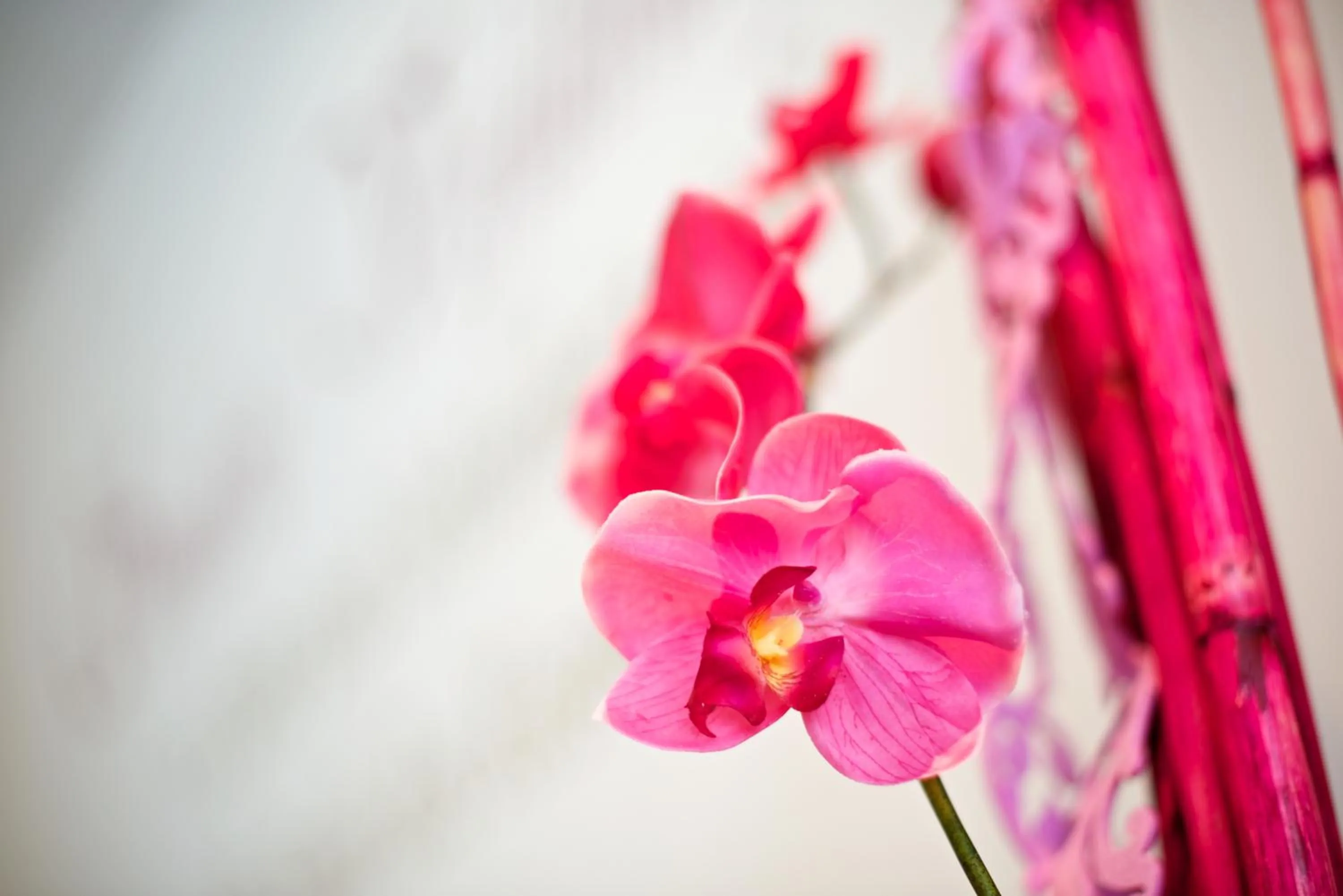 Decorative detail in Alpenlove - Adult SPA Hotel