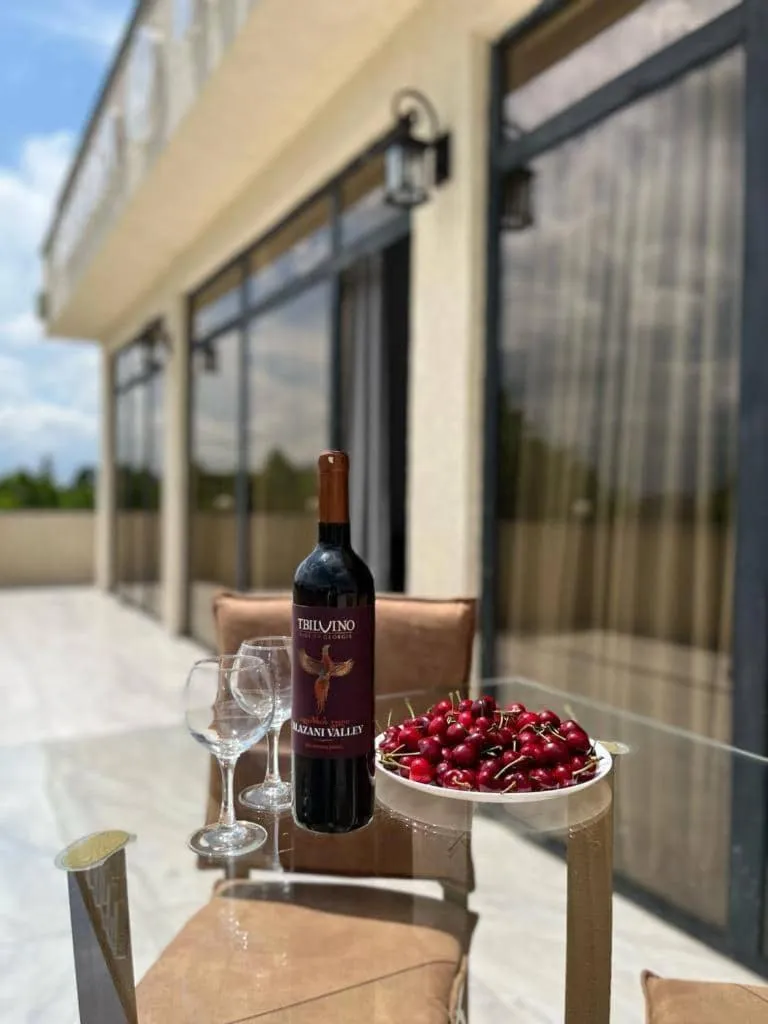 Balcony/Terrace in Hotel Rustaveli