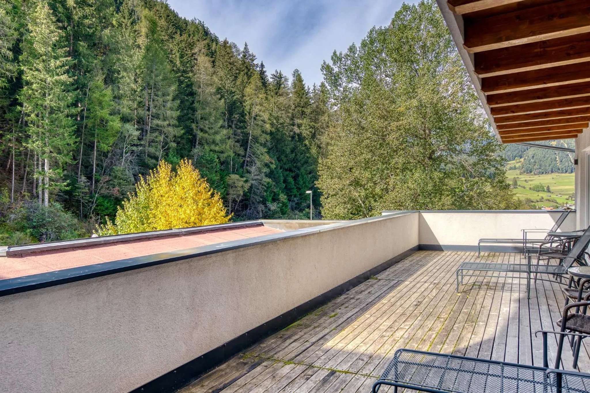 View (from property/room) in Hotel Erika