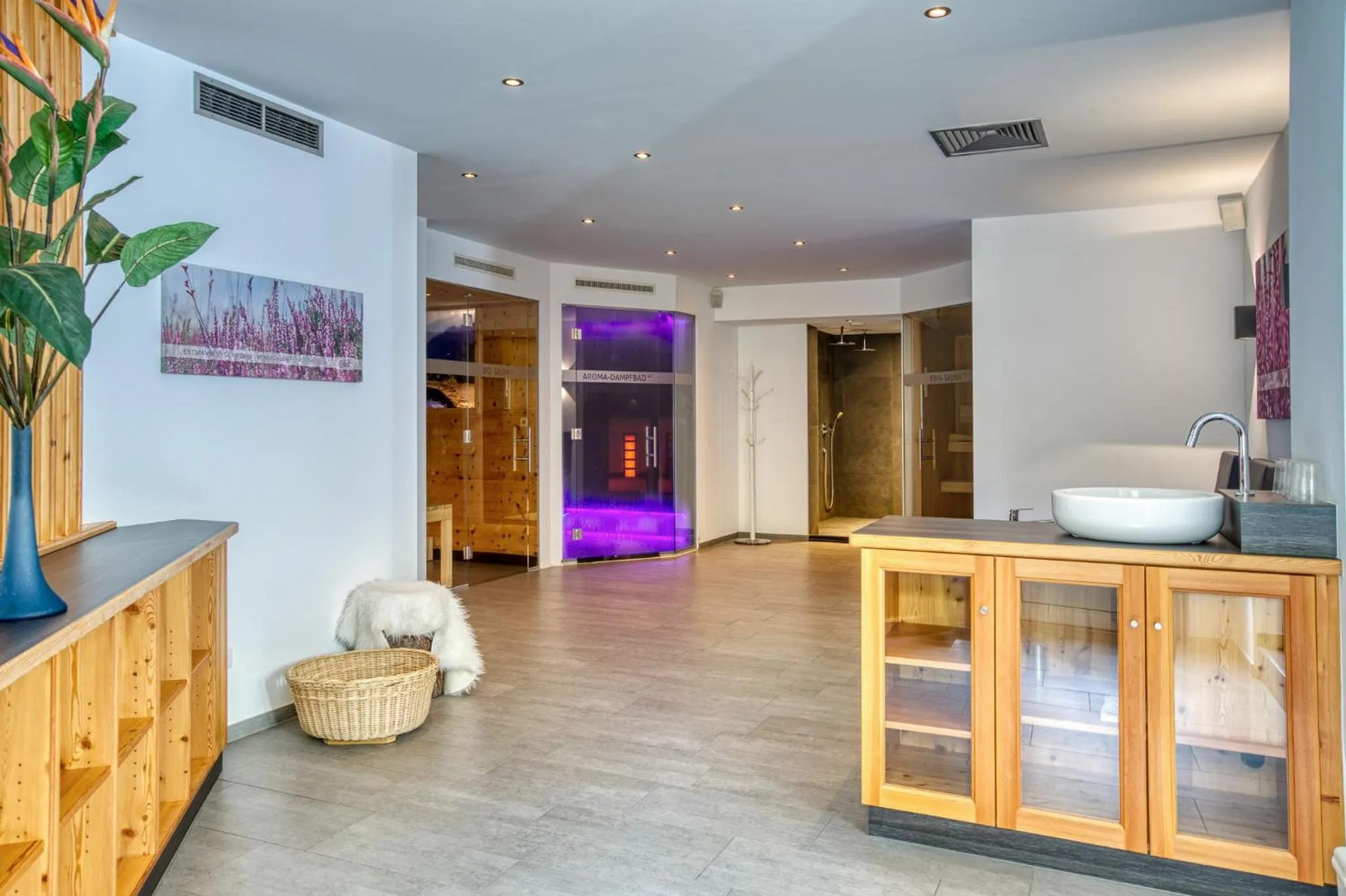 Spa and wellness centre/facilities in Hotel Erika