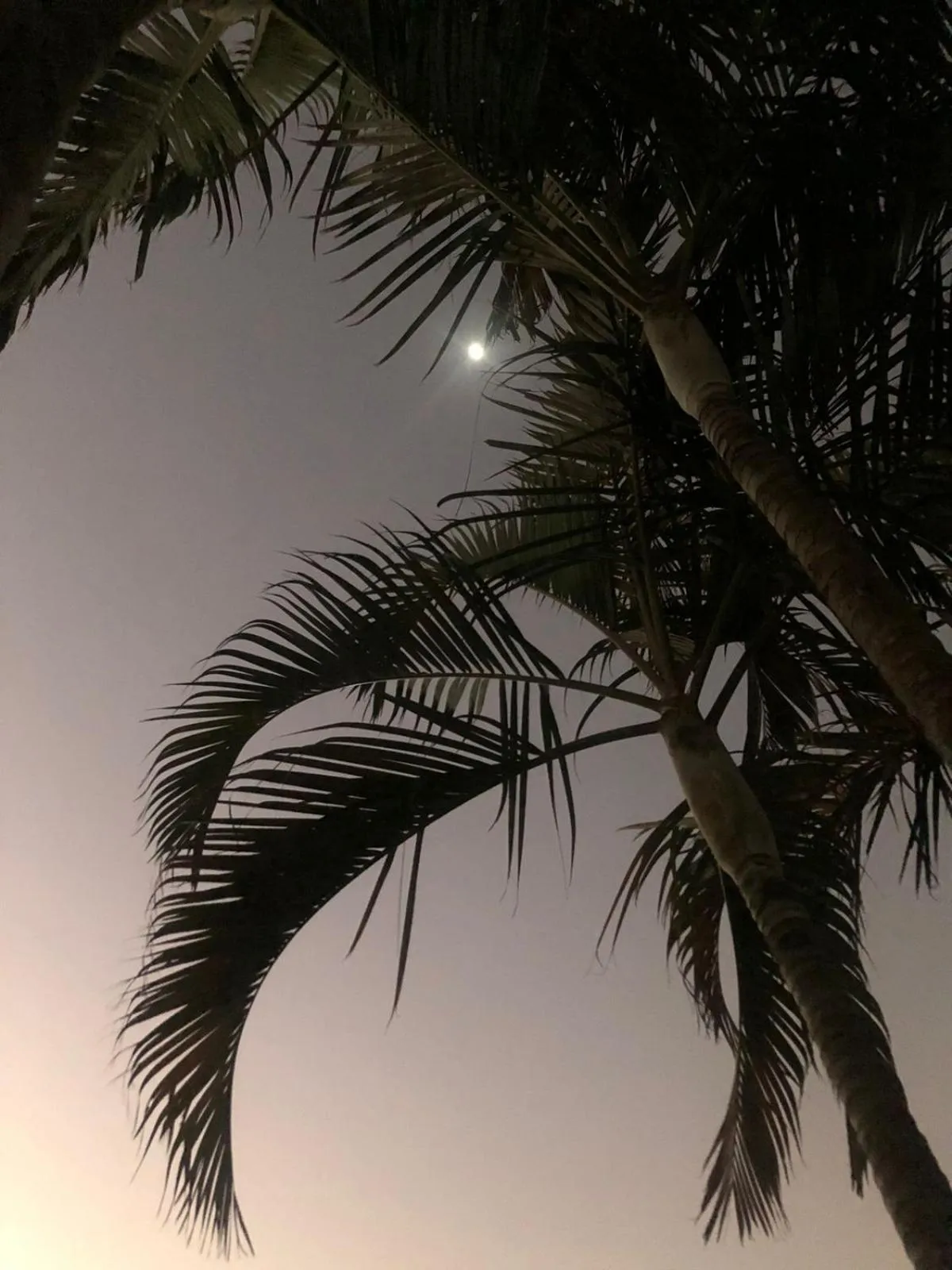 Night in Chácara Sorriso 1 em Atibaia