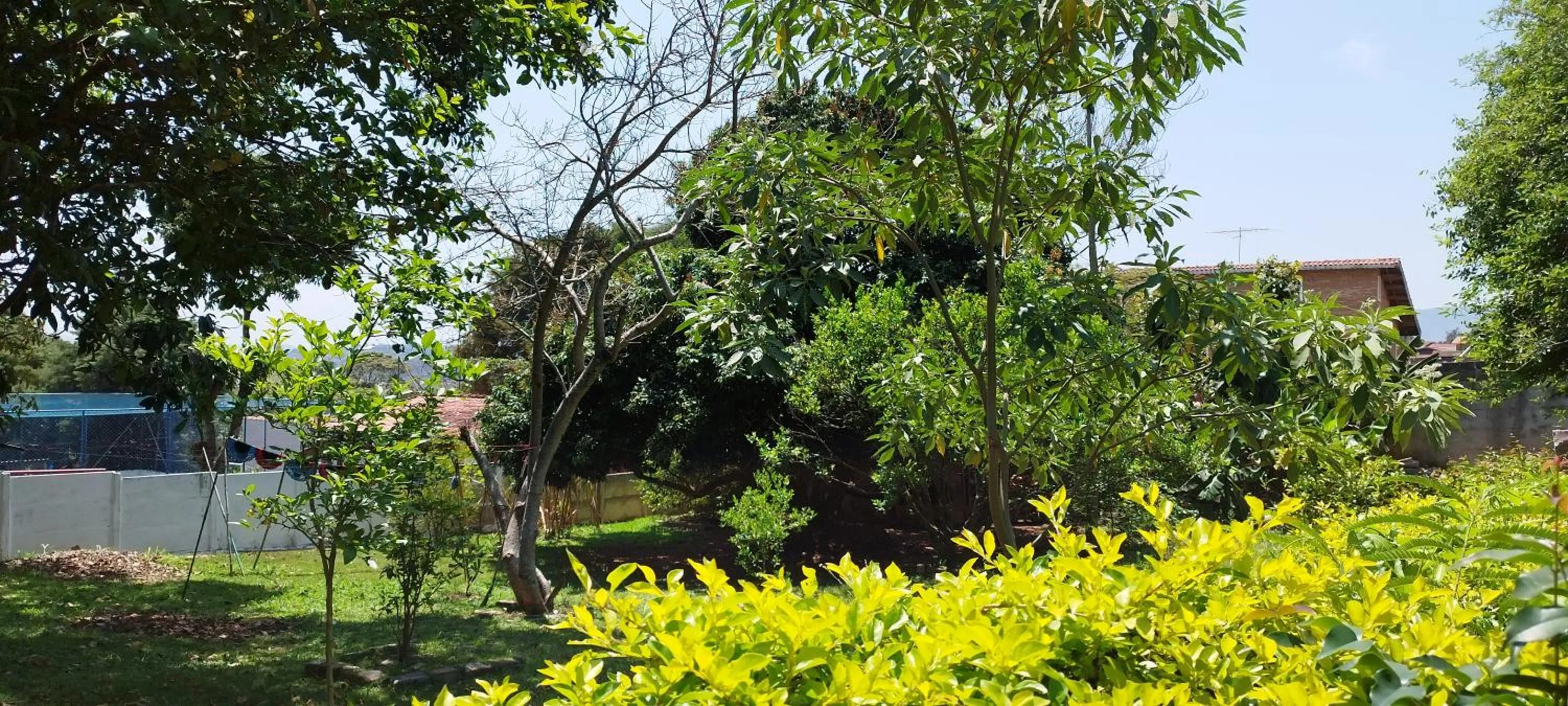 Natural landscape in Chácara Sorriso 1 em Atibaia