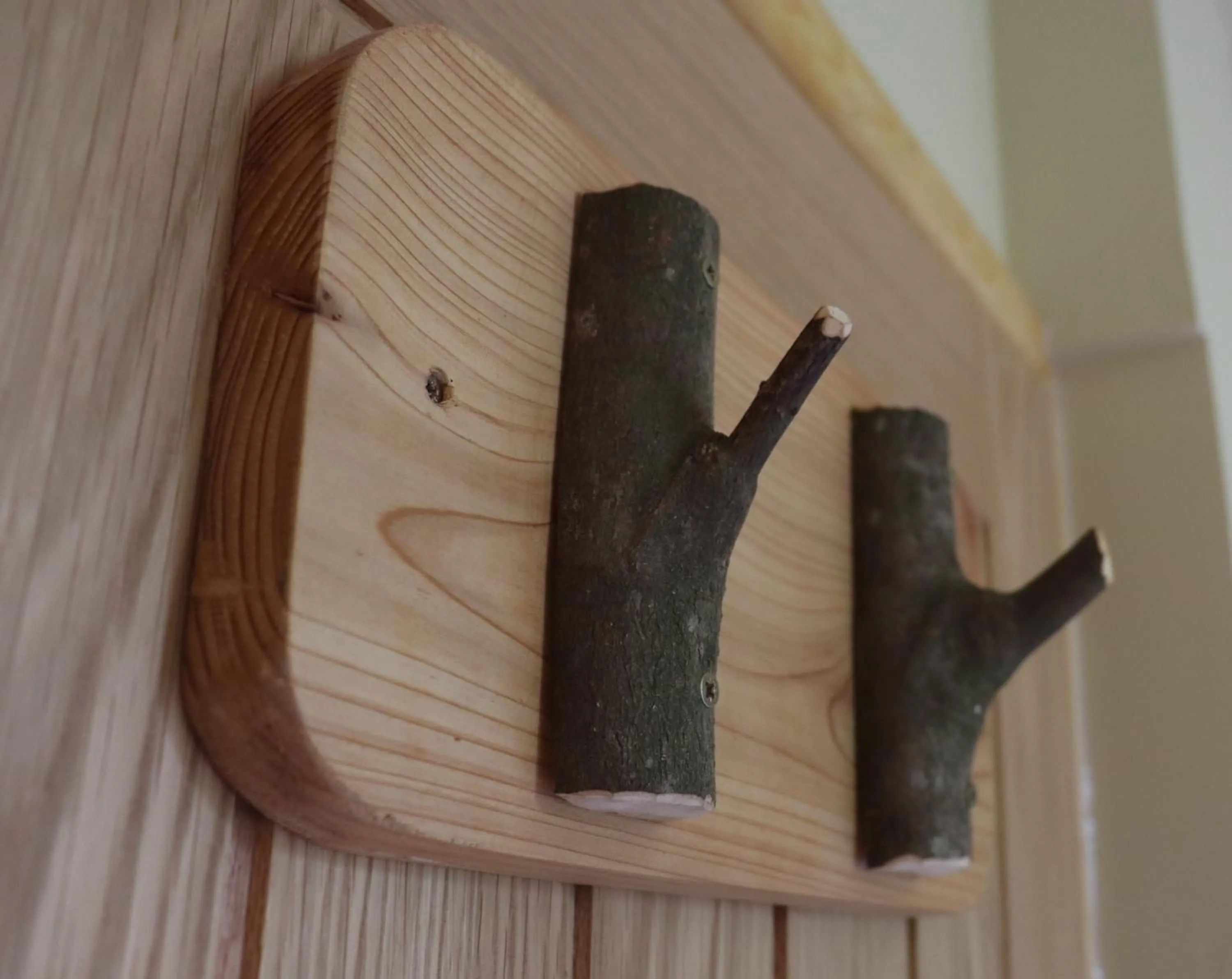 South Downs Eco Lodge & Camping