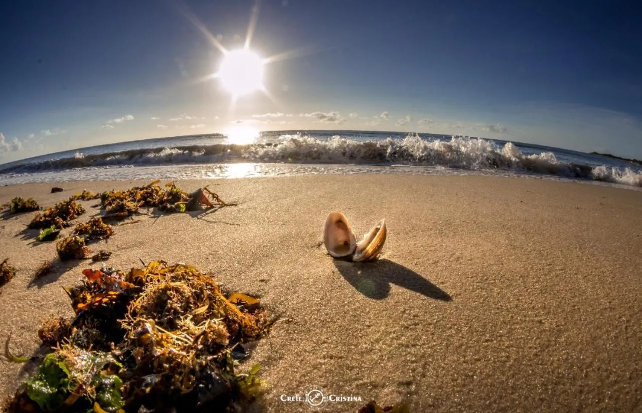 Nearby landmark in Pousada Beach Bahia