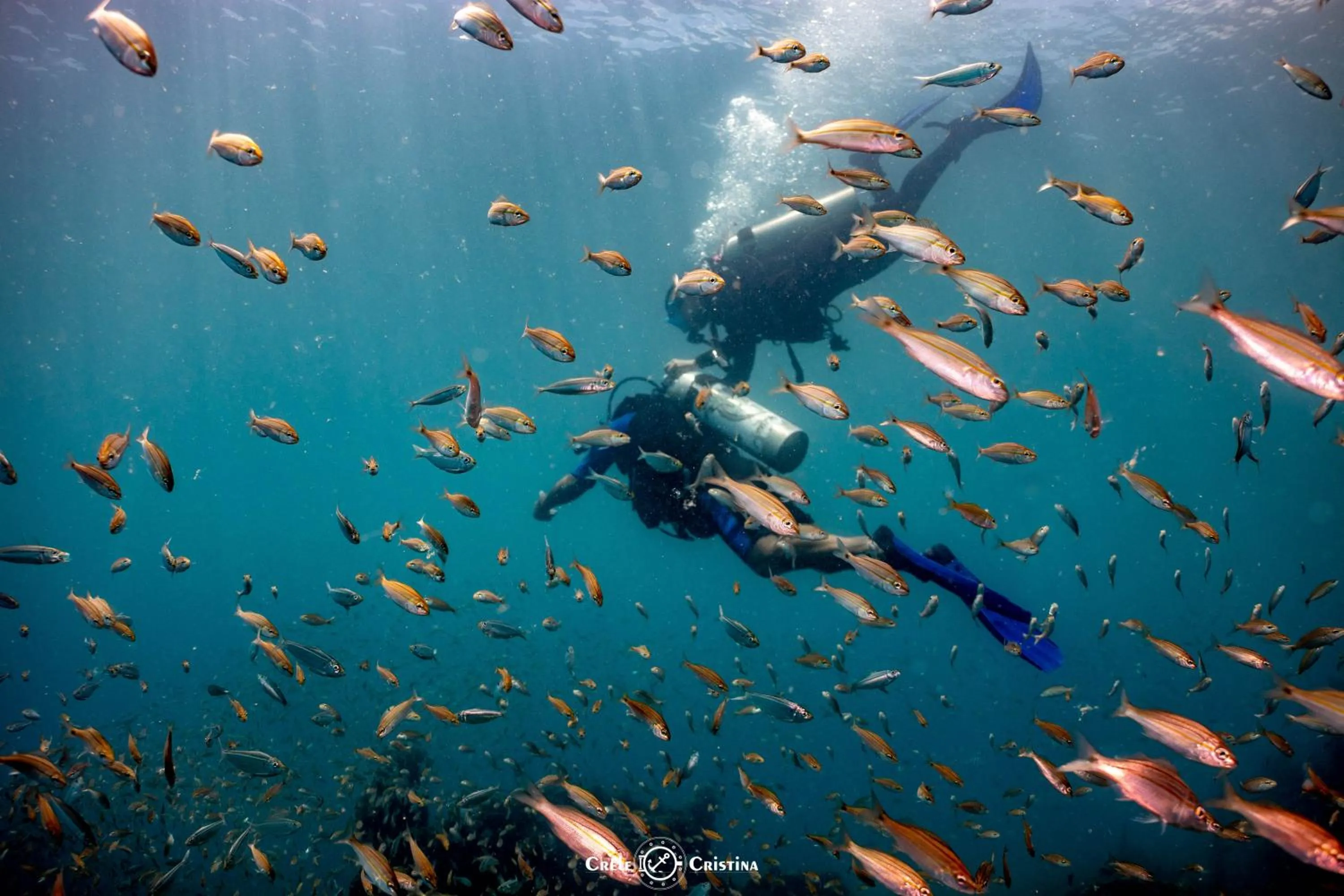 Diving in Pousada Beach Bahia