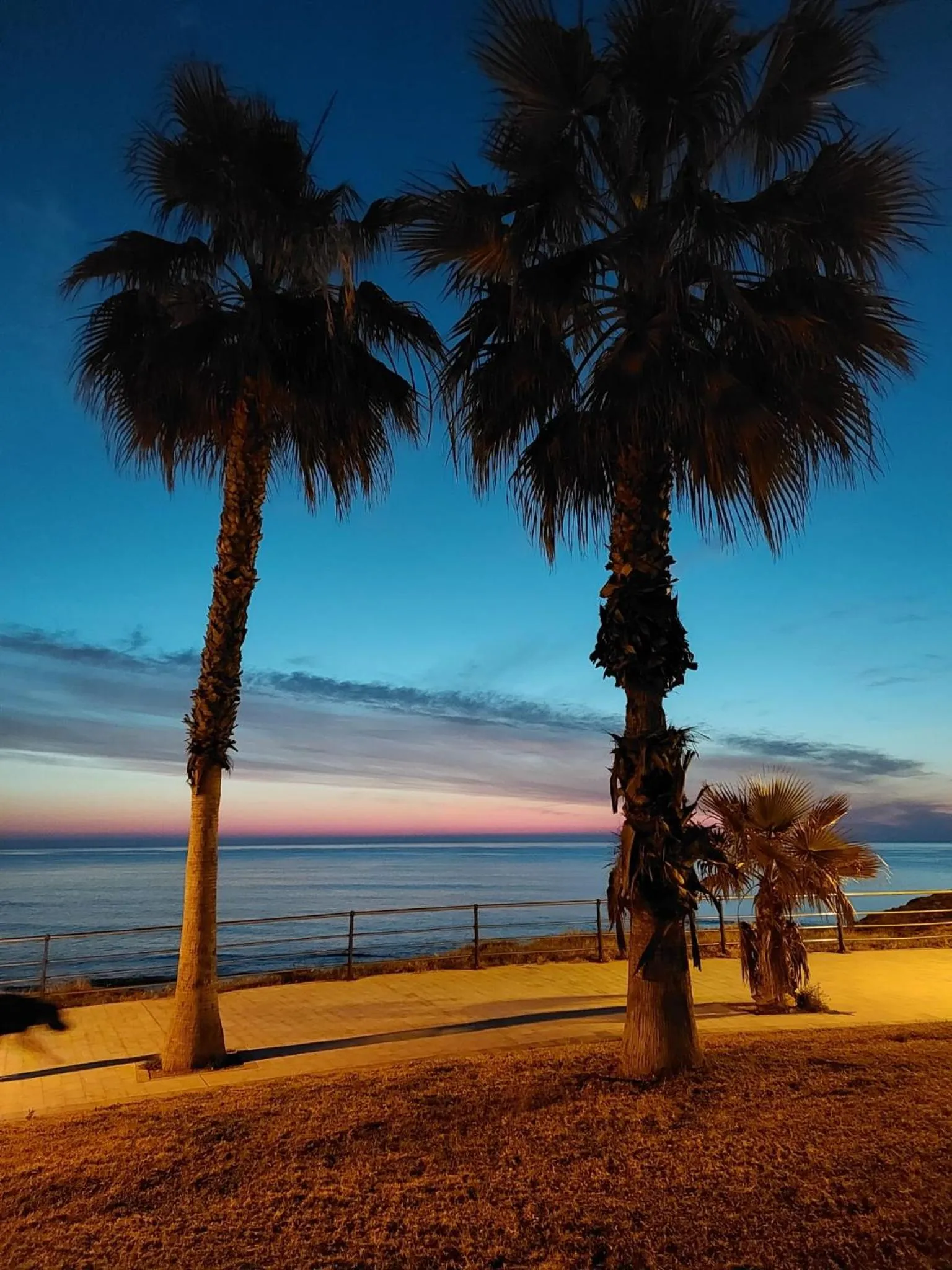 Night in ZENIA HOSTEL