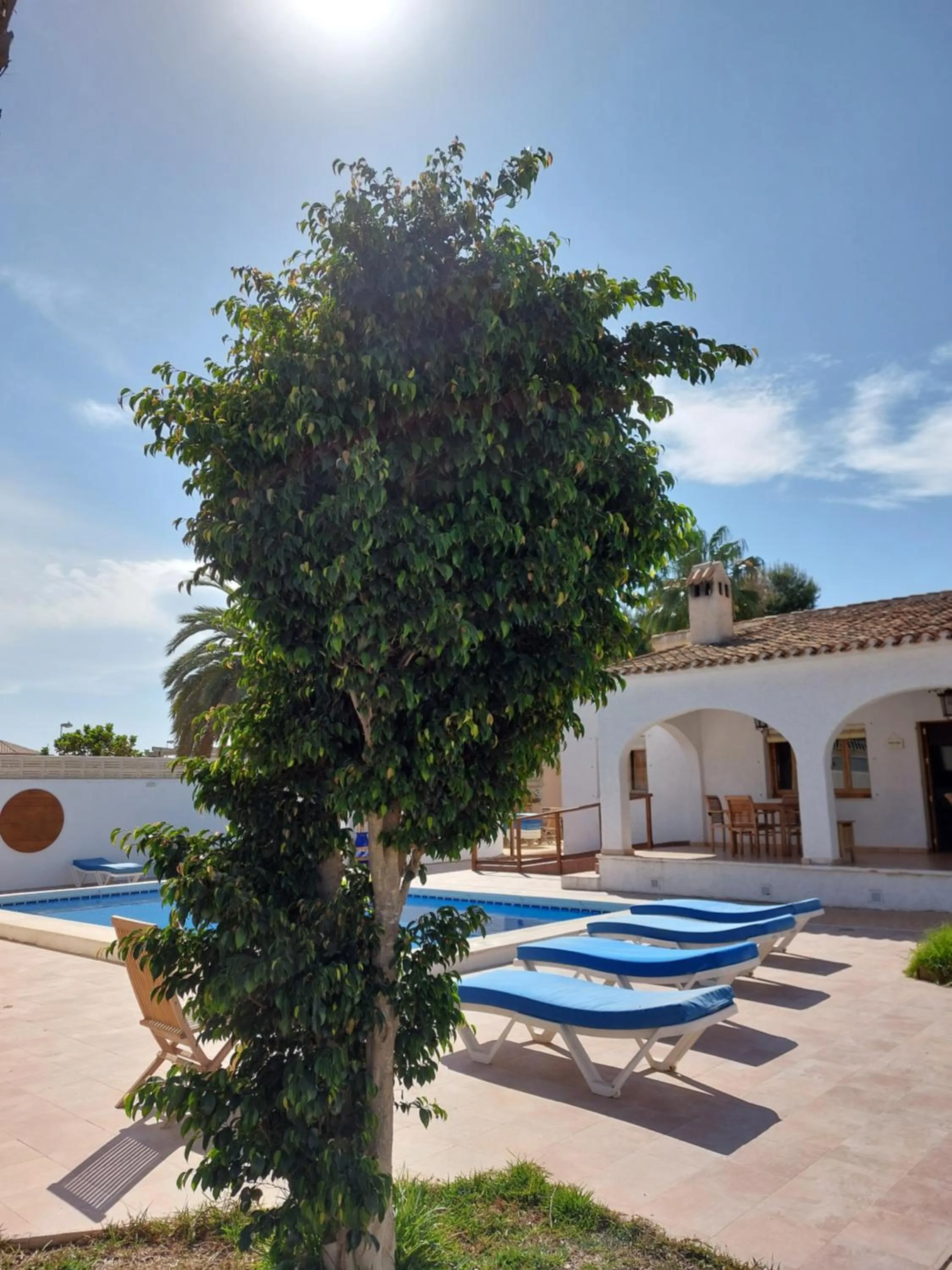 Property building in ZENIA HOSTEL