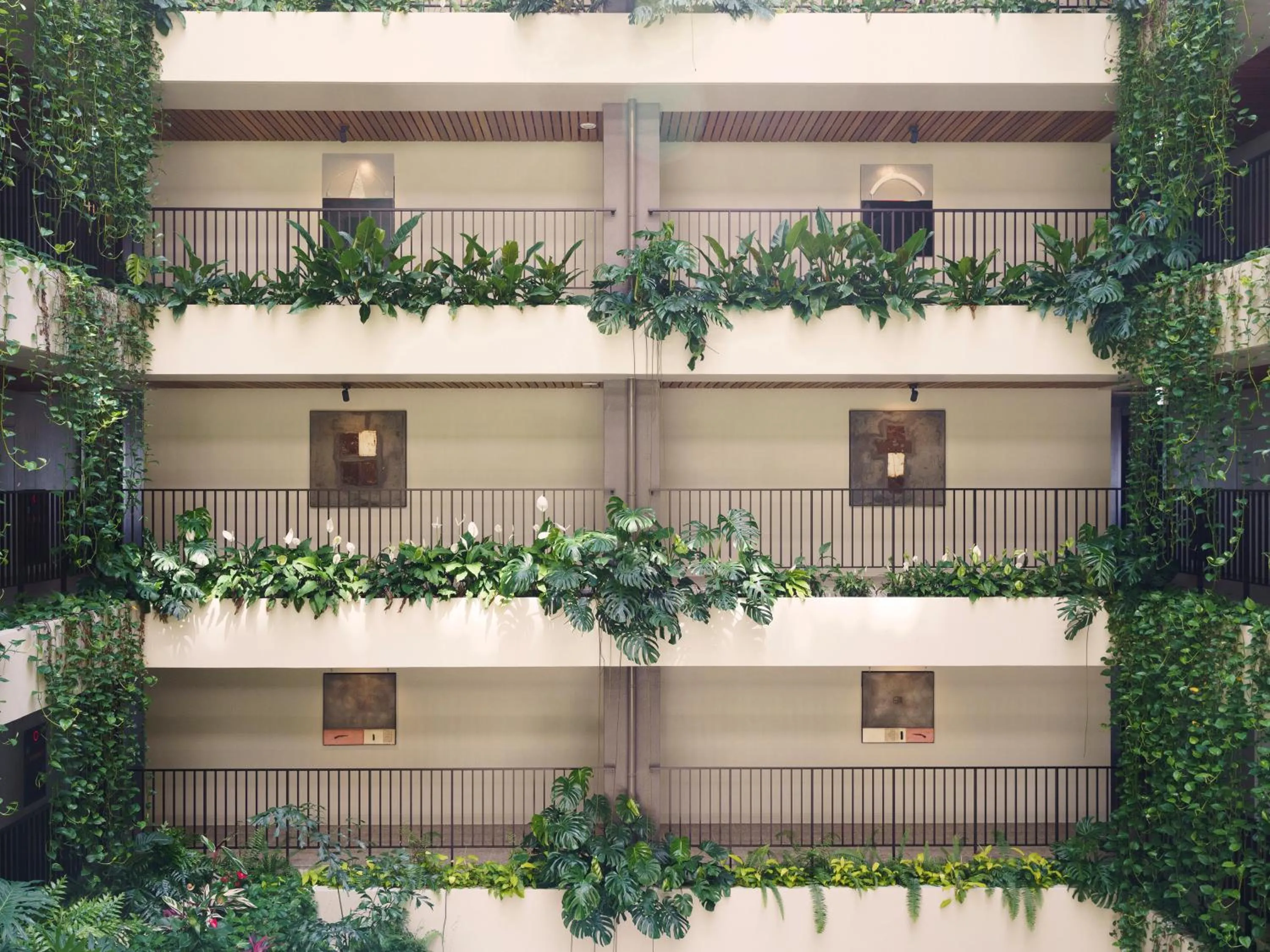 Area and facilities in MB GALLERY CHATAN by THE TERRACE HOTELS