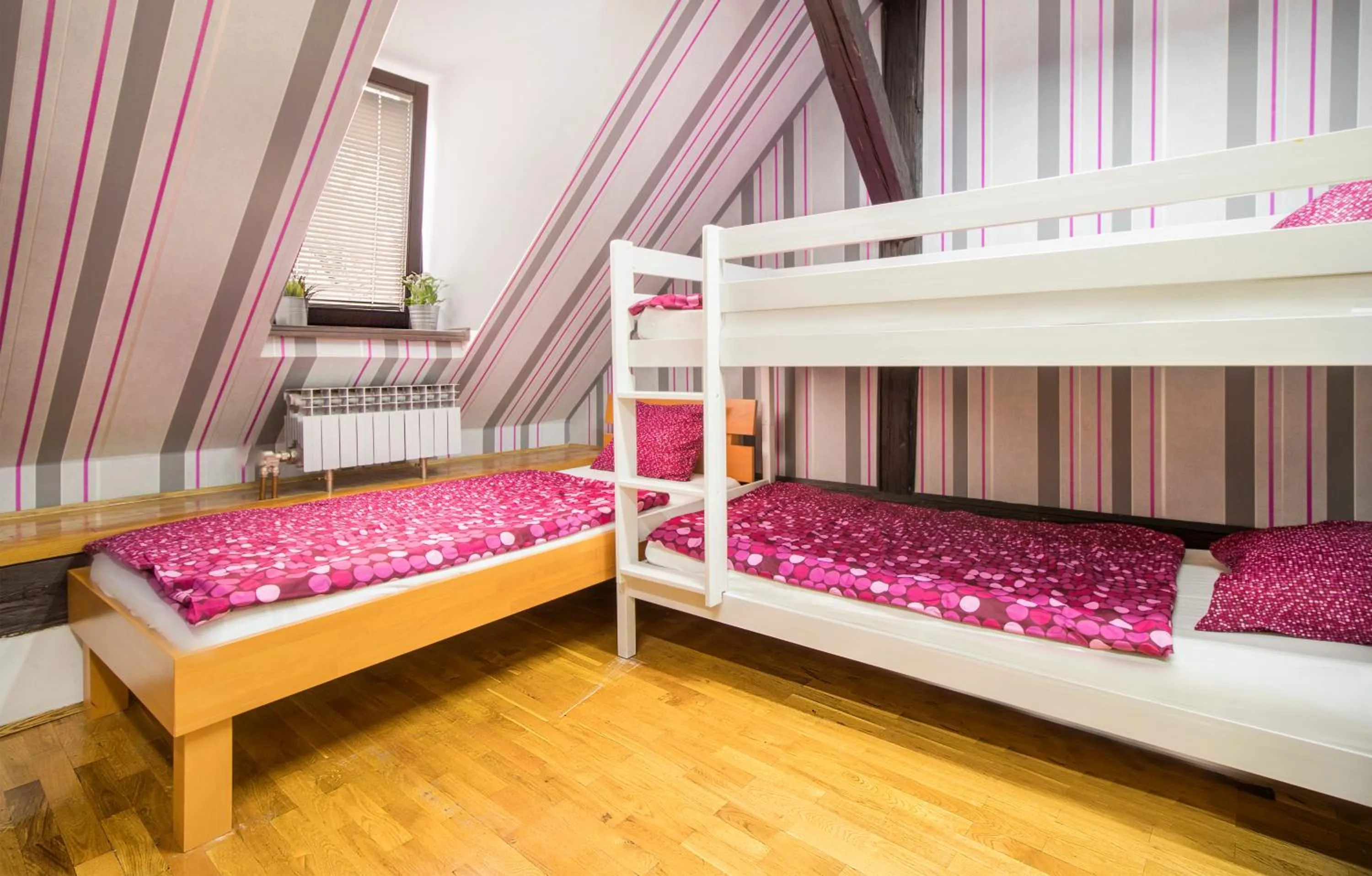 Bed in Hostel Centar