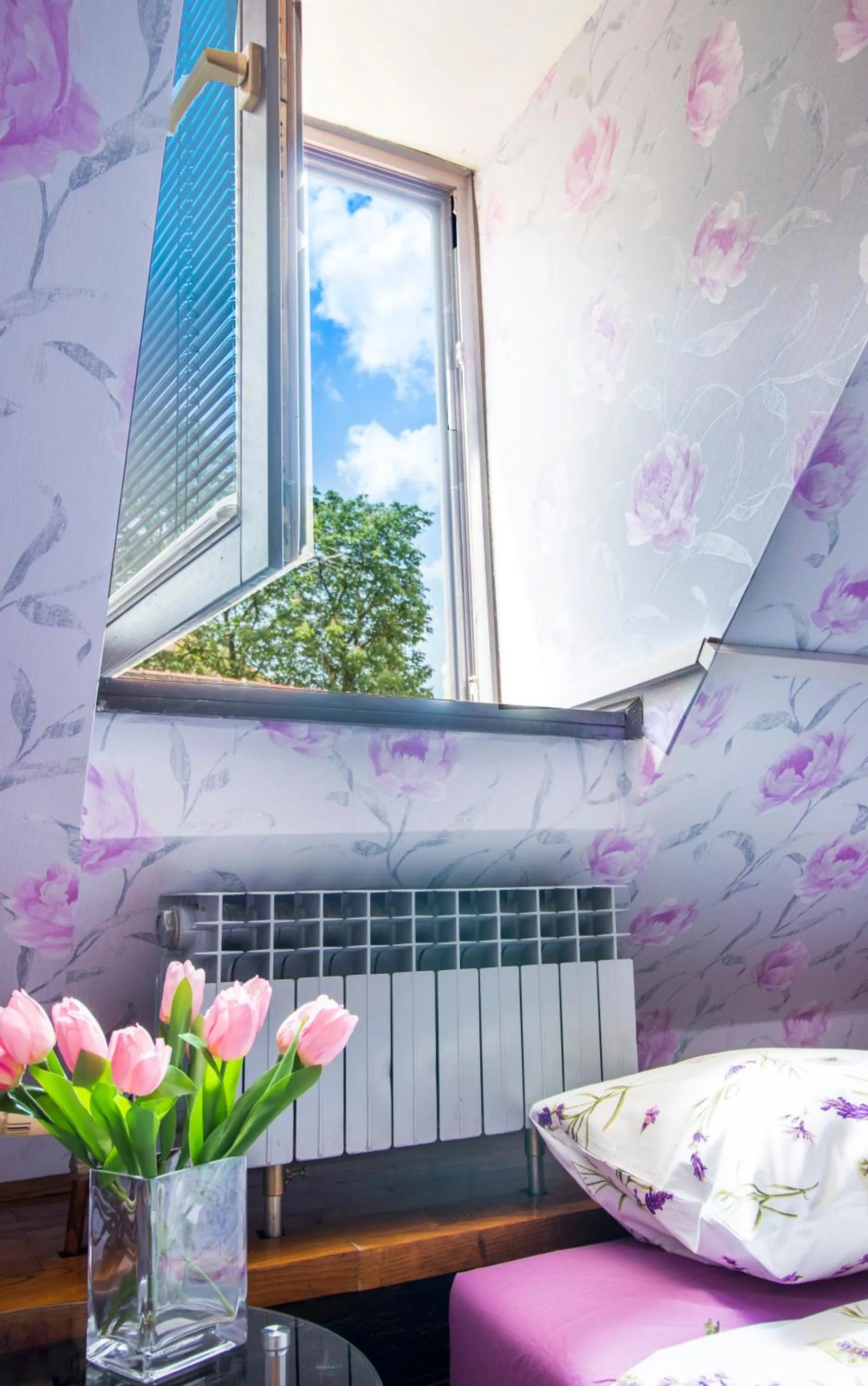 Bed in Hostel Centar