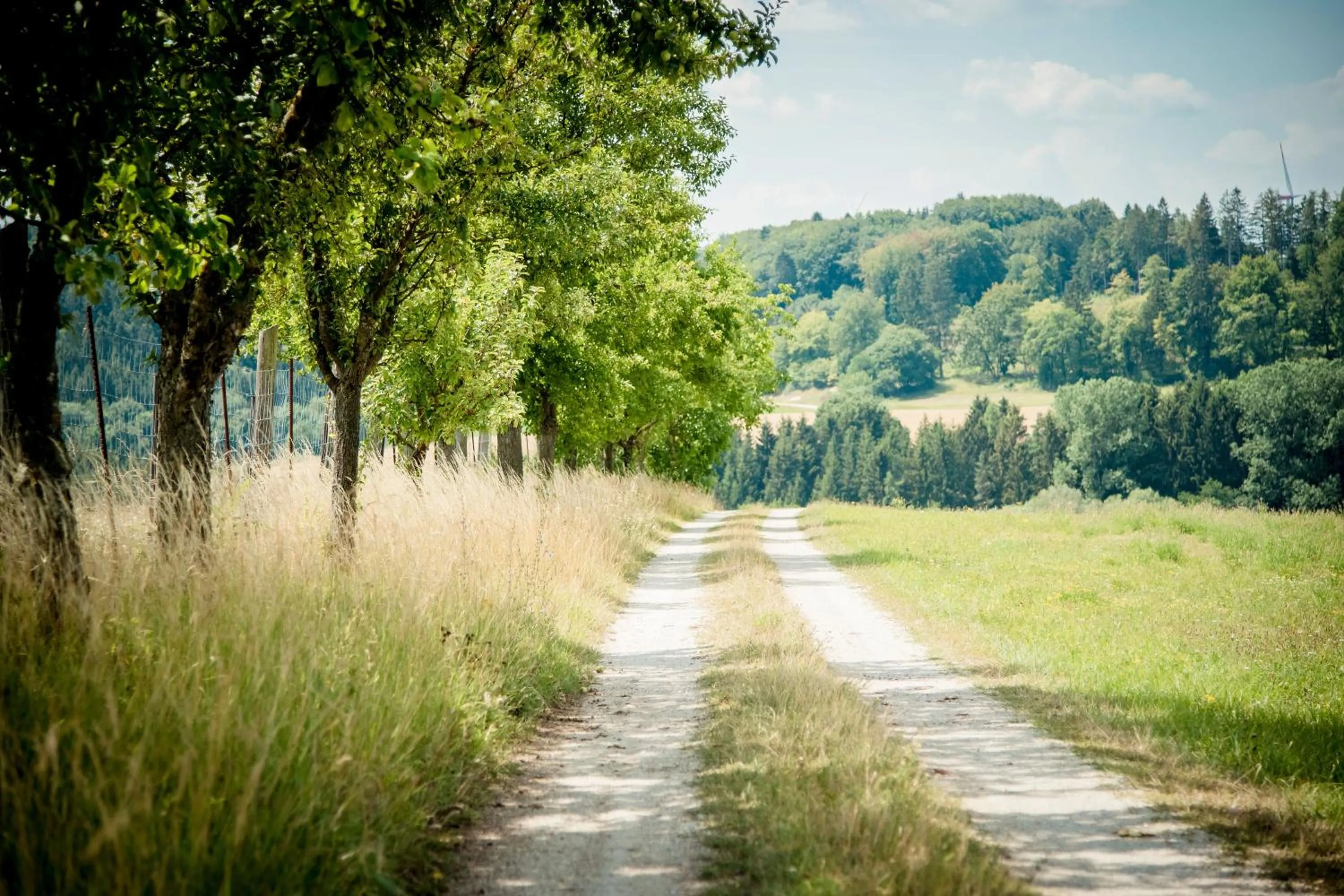 Natural landscape in Gutshofhotel Winkler Bräu