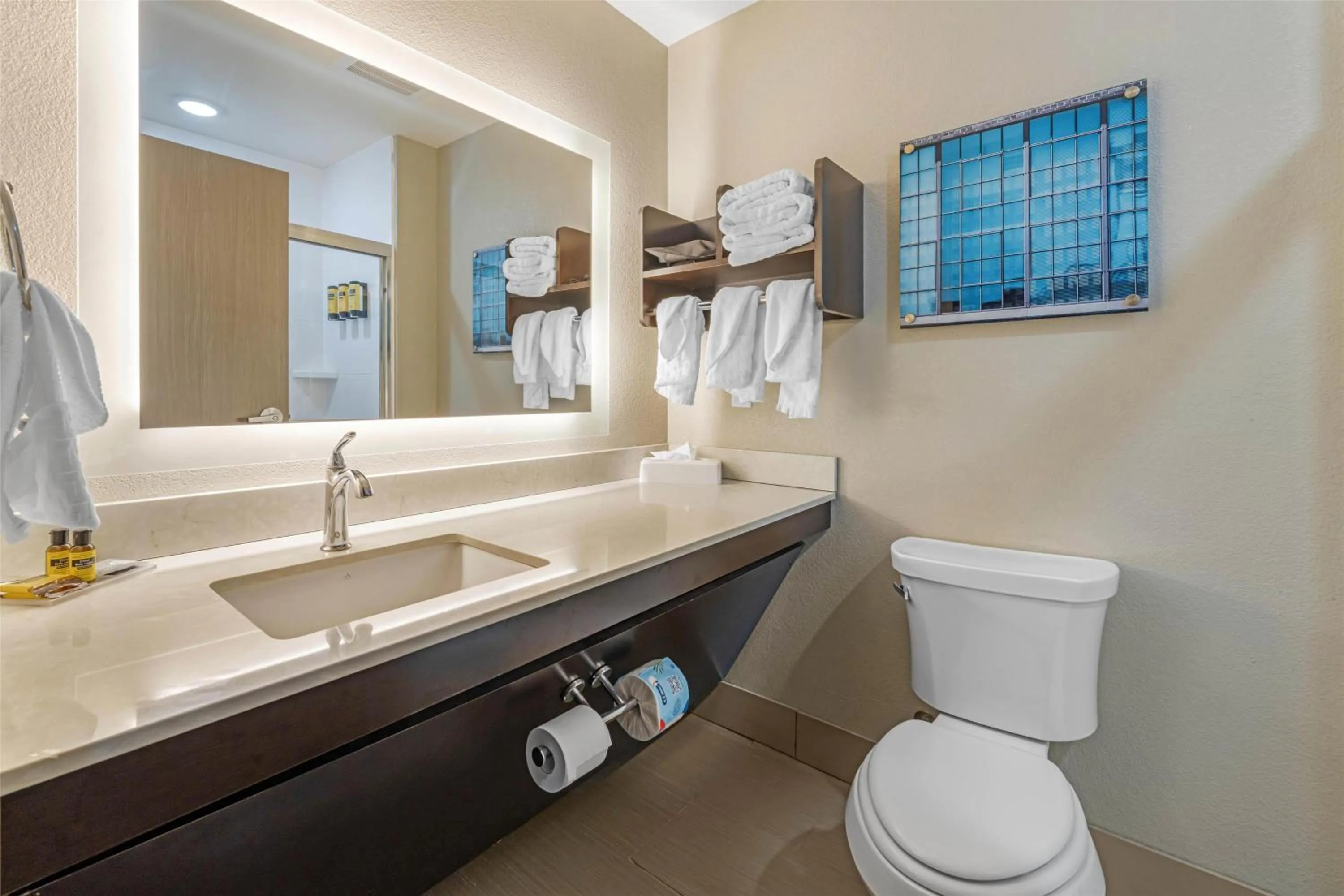 Bathroom in Best Western Plus McPherson