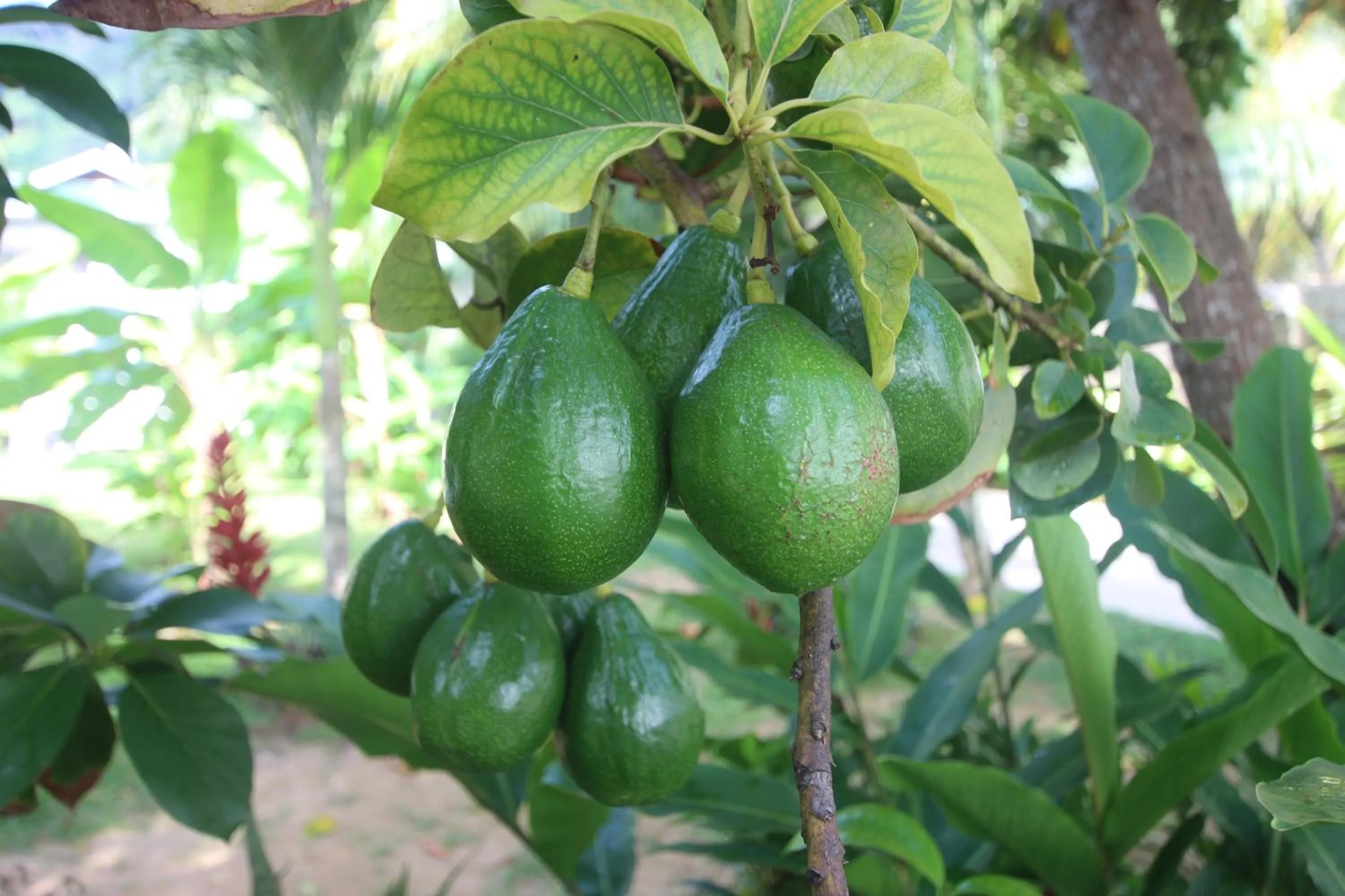 Natural landscape in Castaway Lodge