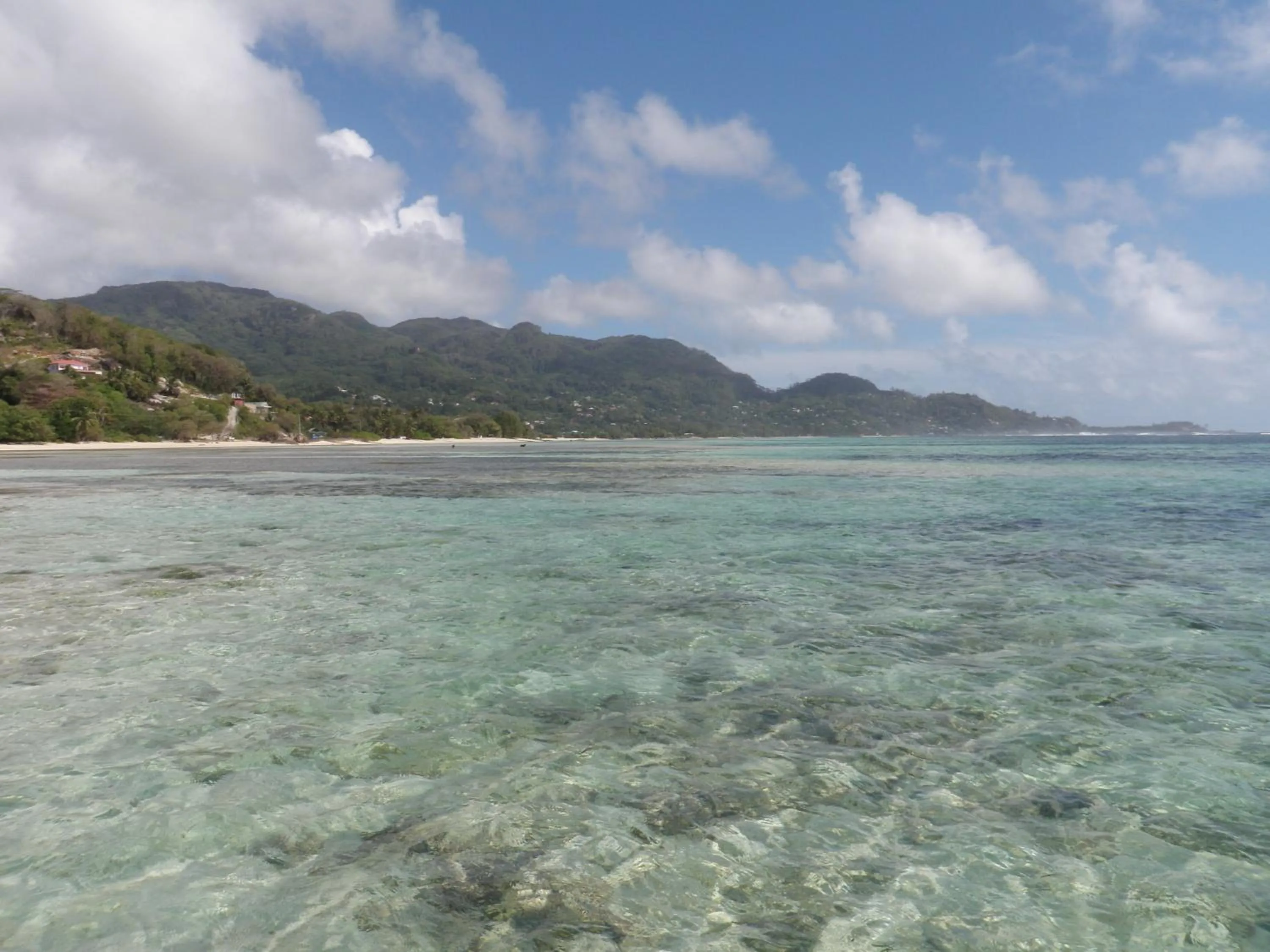 Fishing in Castaway Lodge