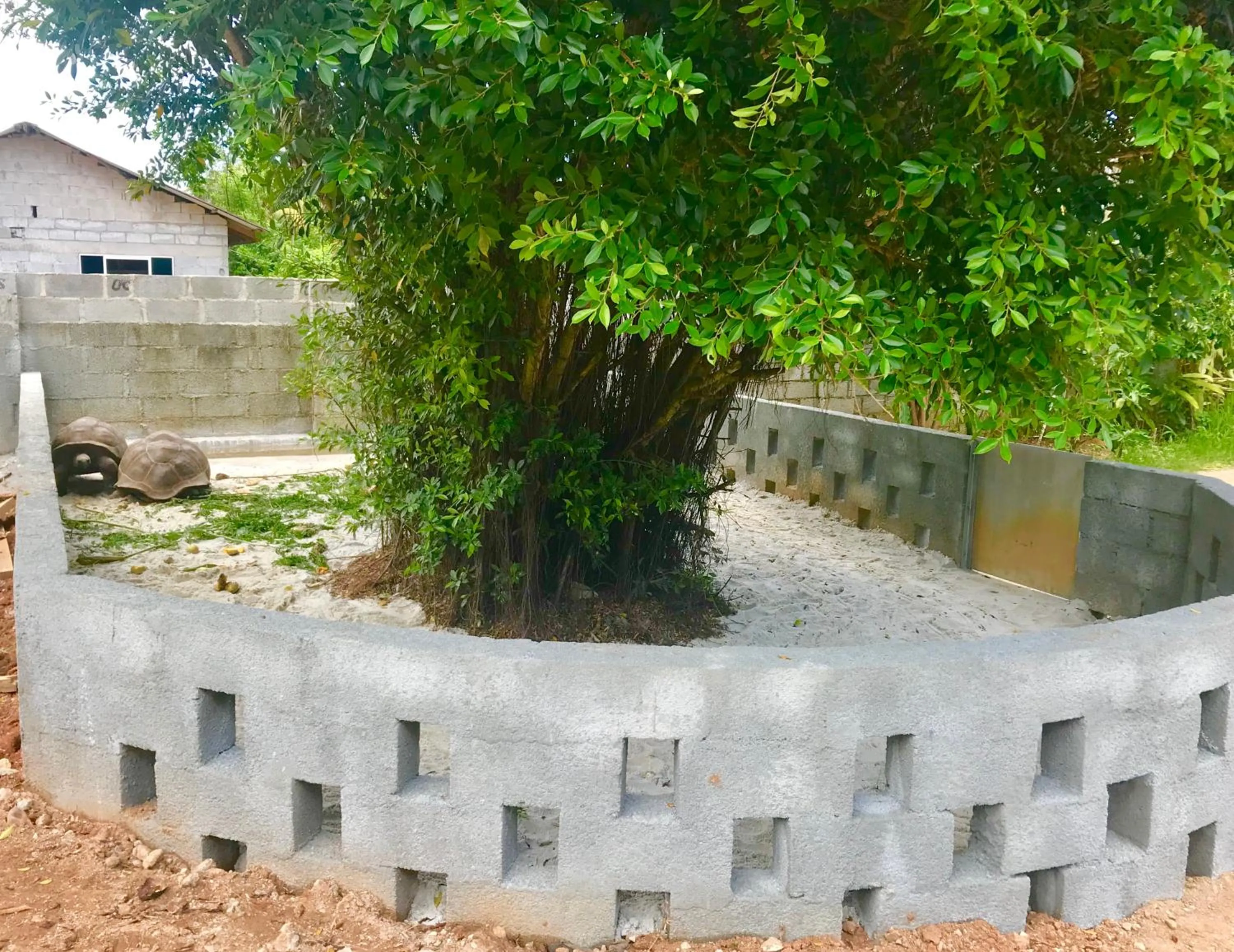 Garden in Castaway Lodge