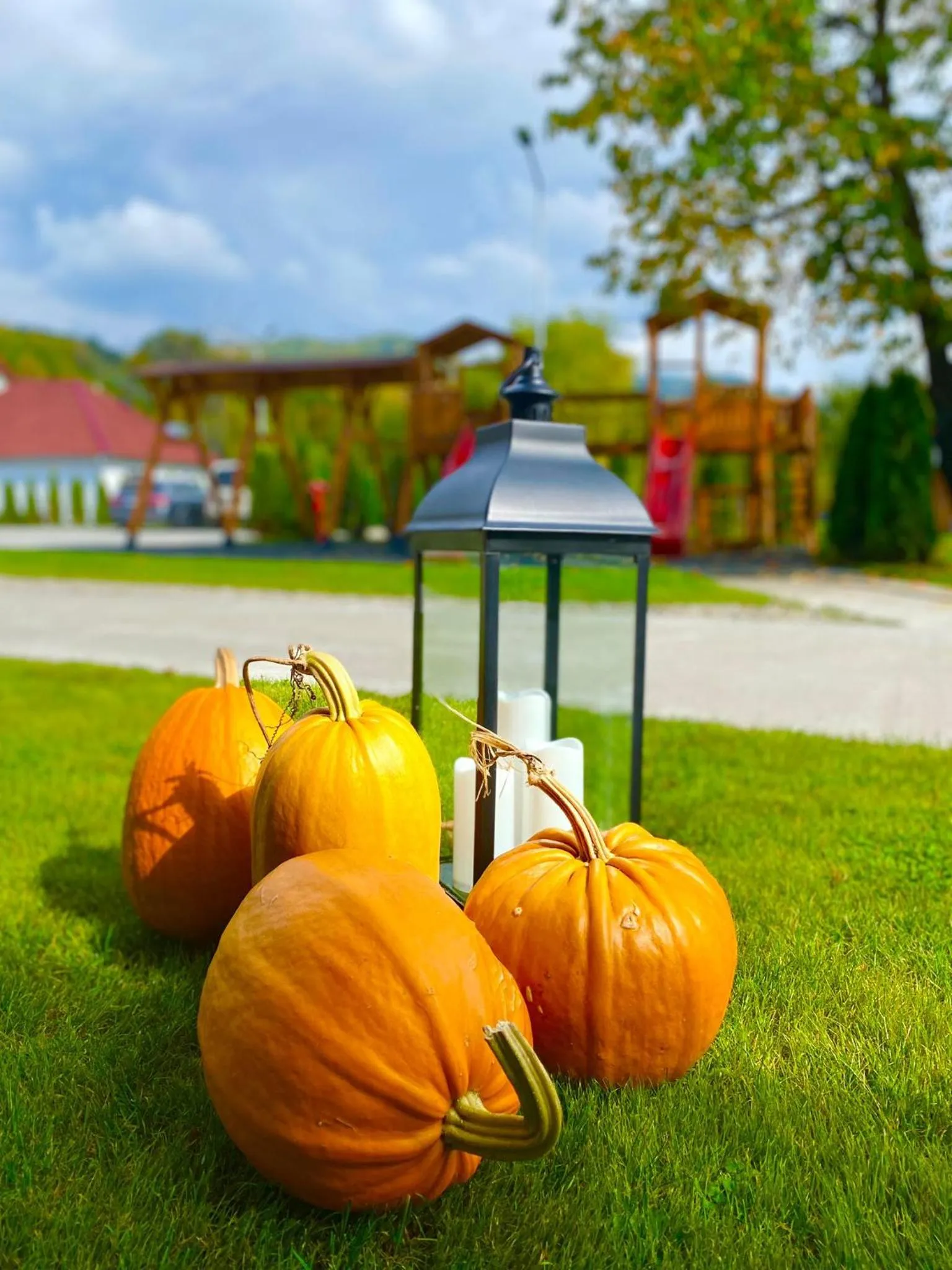 Garden in Hotel Yara