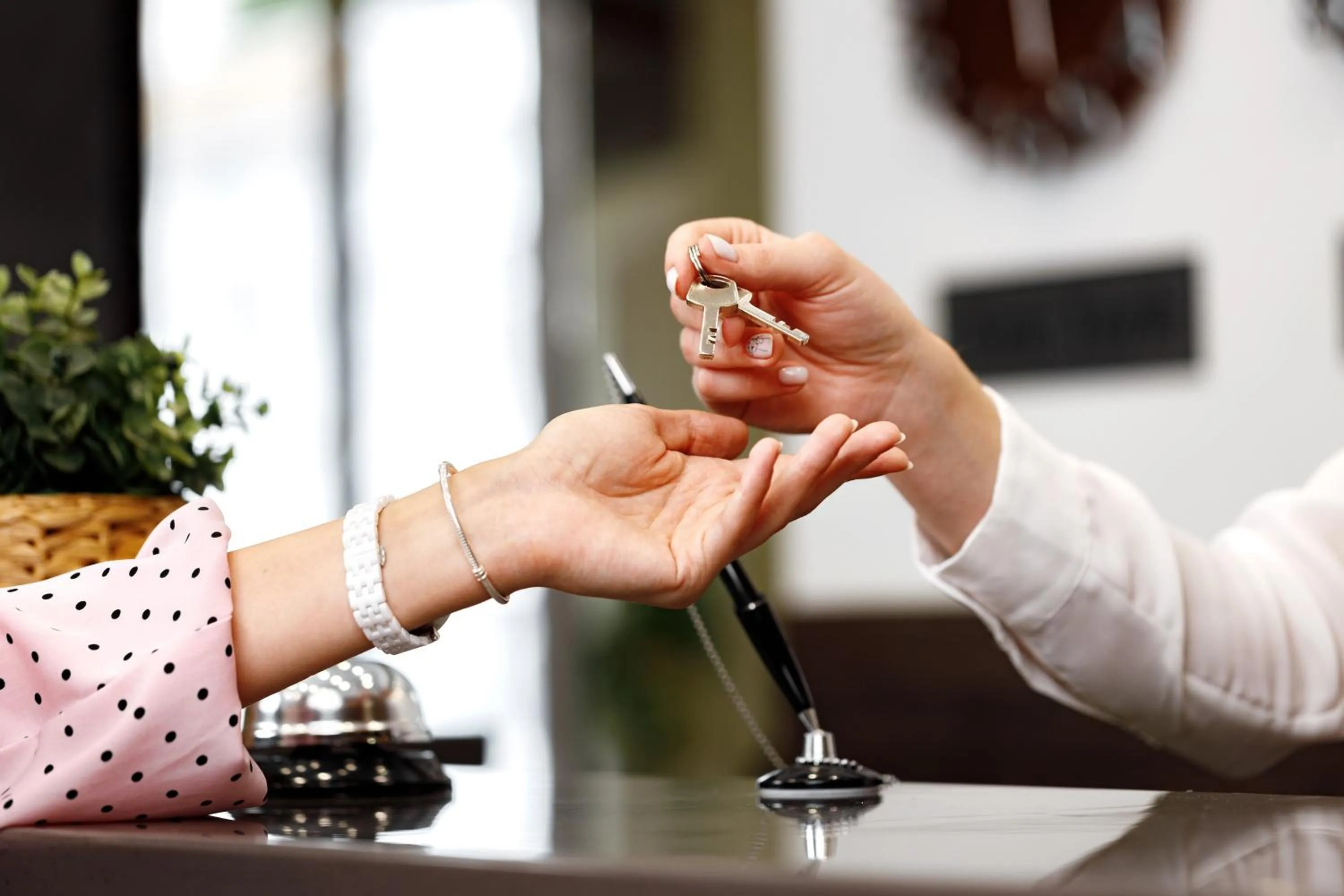 Lobby or reception in Hotel Elefantino Grey - Free Brunch & Breakfast Until 13-00 - Vicinissimi a Mirabilandia