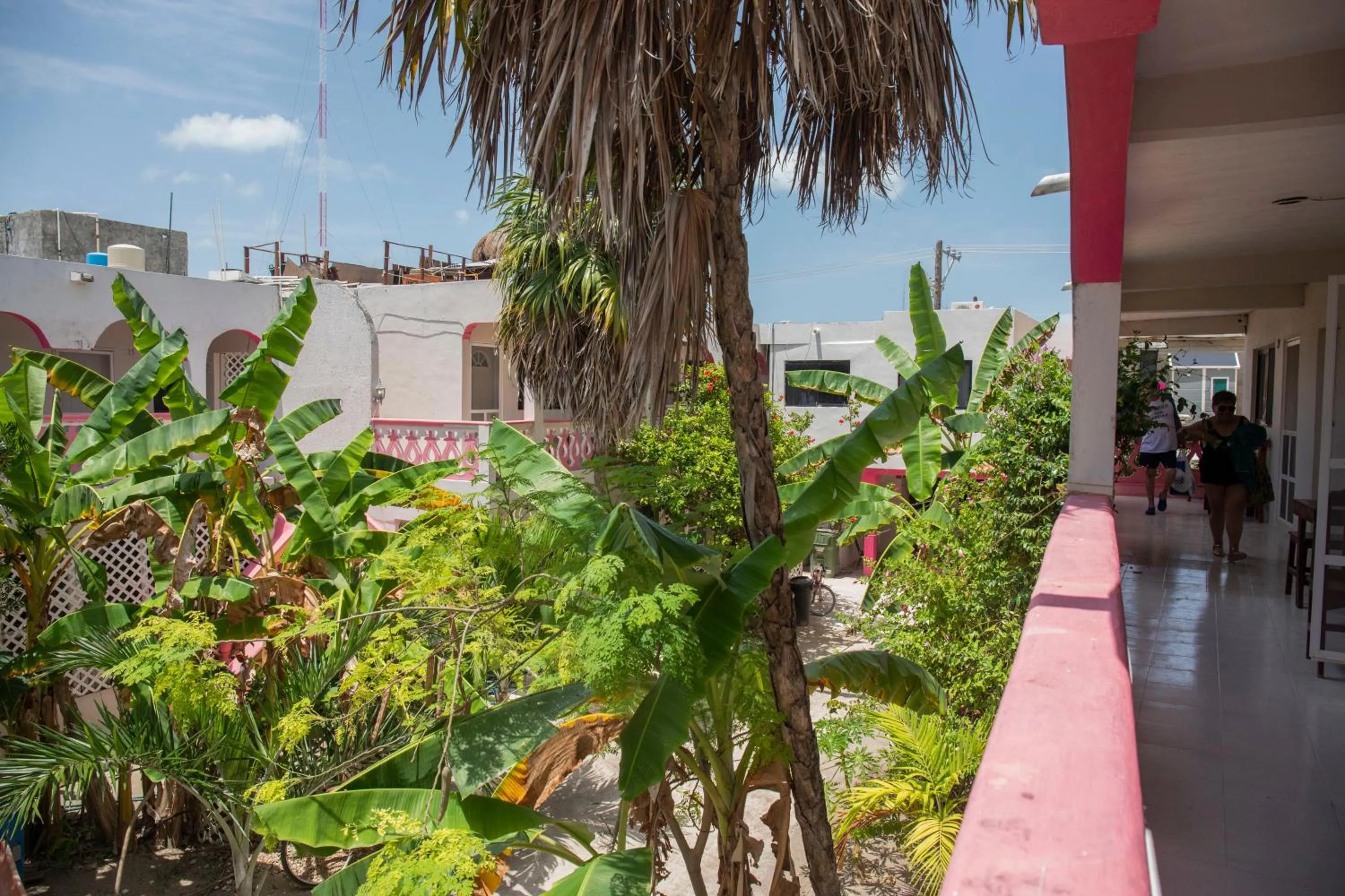 Natural landscape in Hotel Los Arcos Holbox