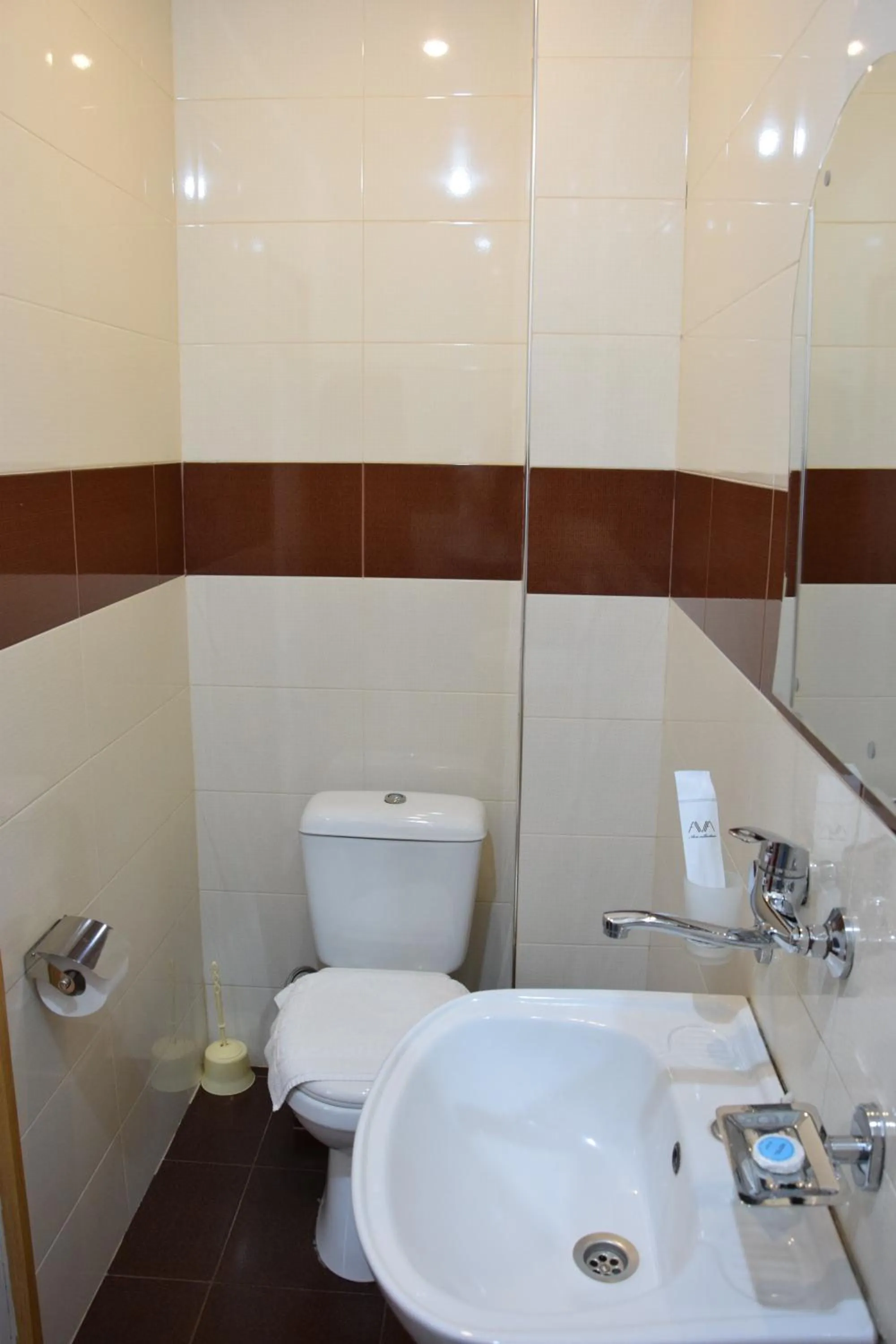 Bathroom in Georgia Tbilisi GT Hotel