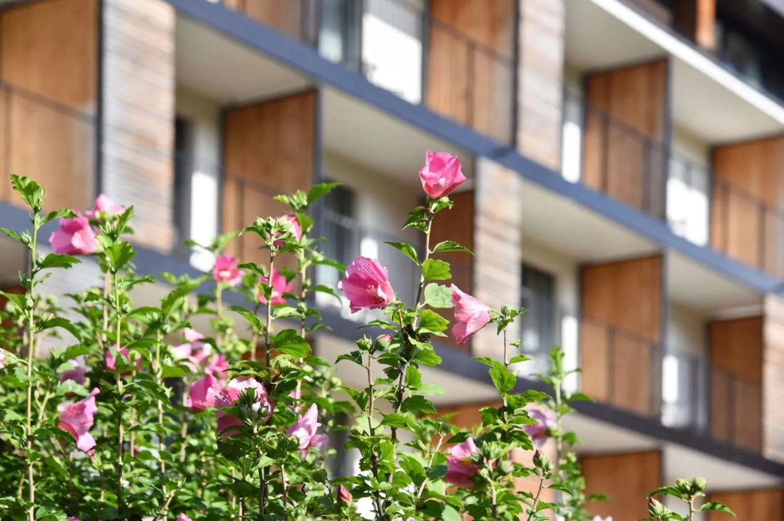 Garden in Hotel Weisses Kreuz