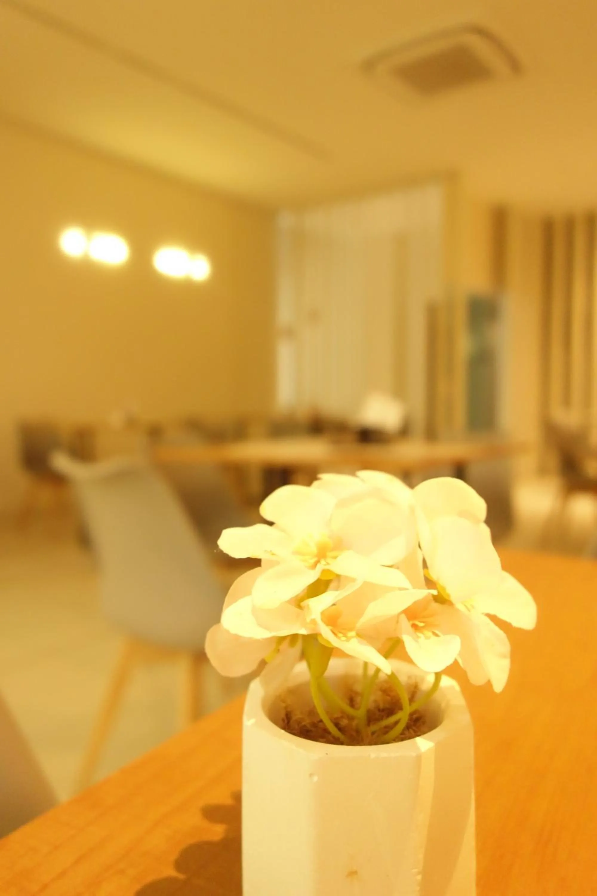 Fitness centre/facilities in TERESINA HOTEL