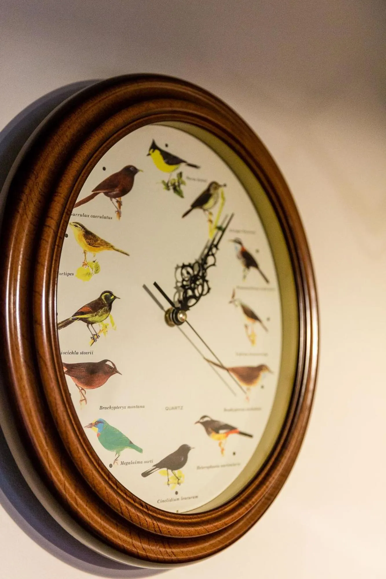 Decorative detail in Brilliant Apartments