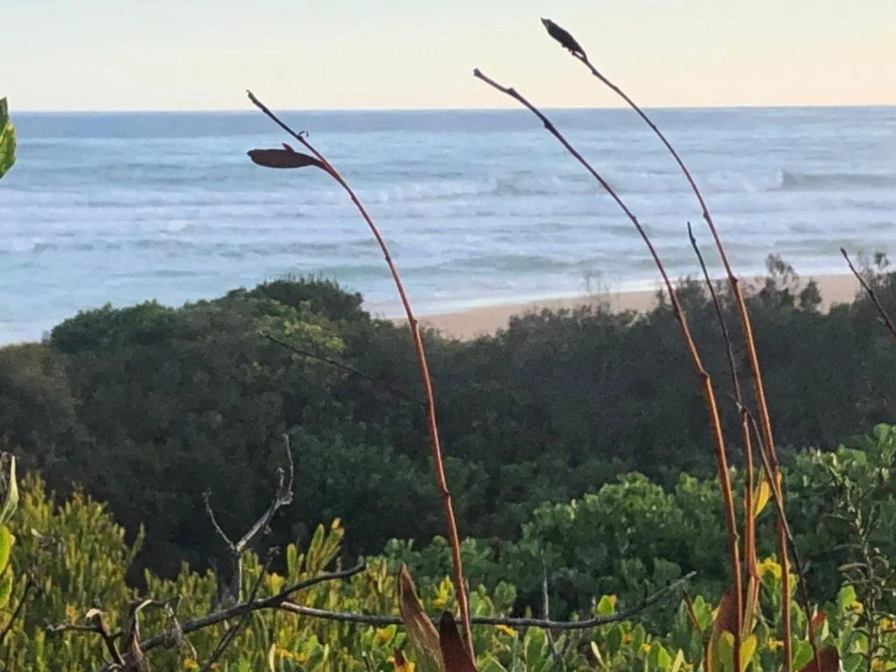 View (from property/room) in White Sands Self-catering units