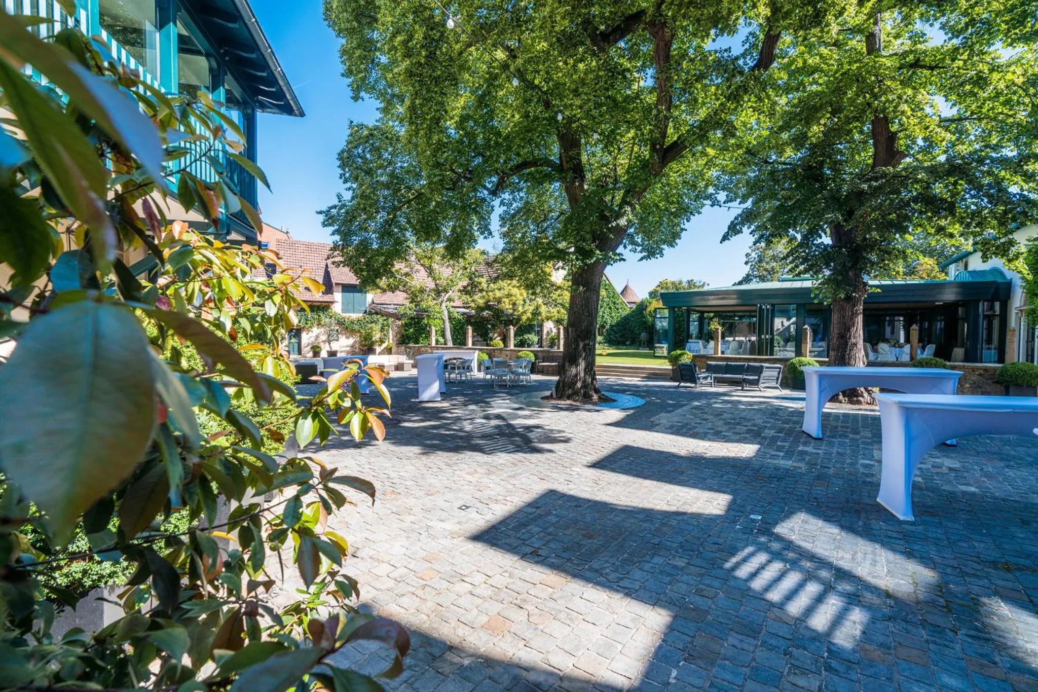 Garden in Deidesheimer Hof