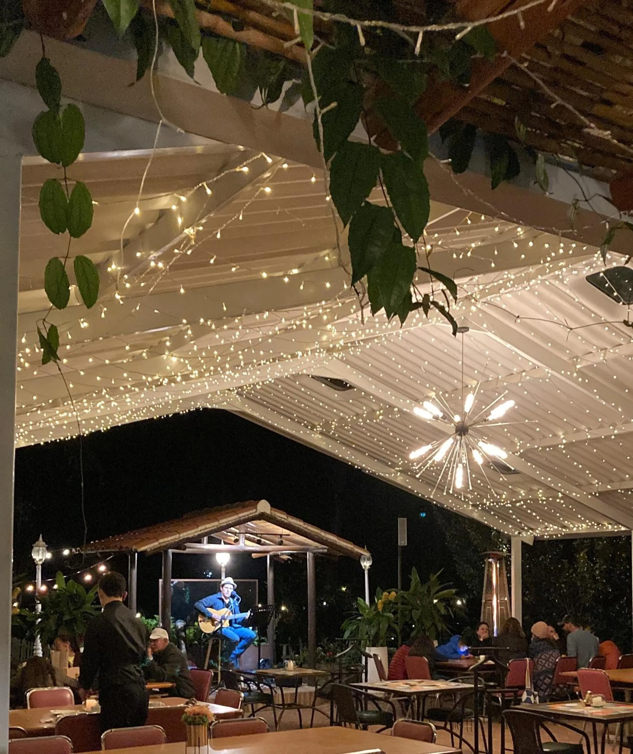 Restaurant/places to eat in Elephantia Spa Hotel