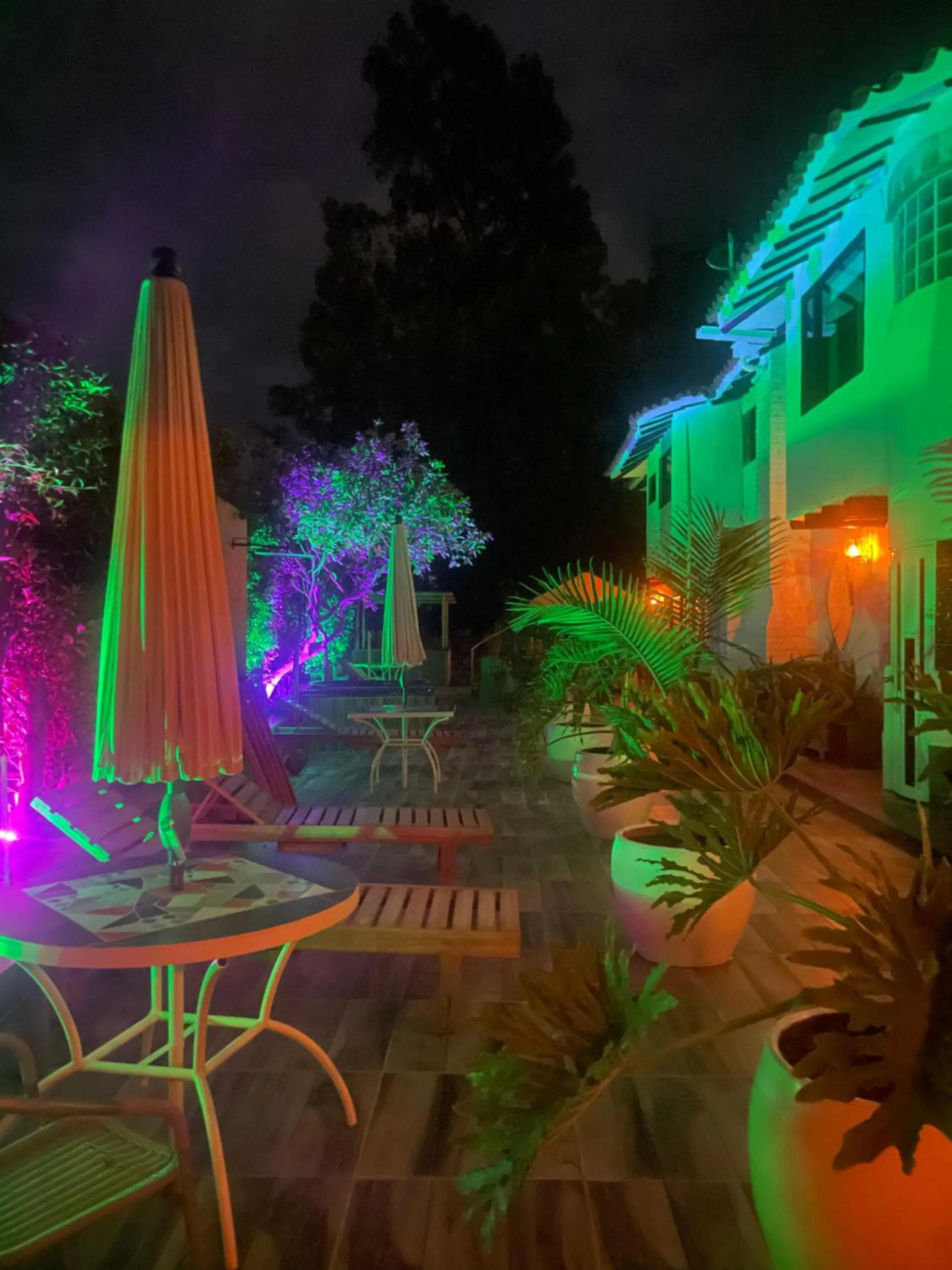 Spa and wellness centre/facilities in Elephantia Spa Hotel