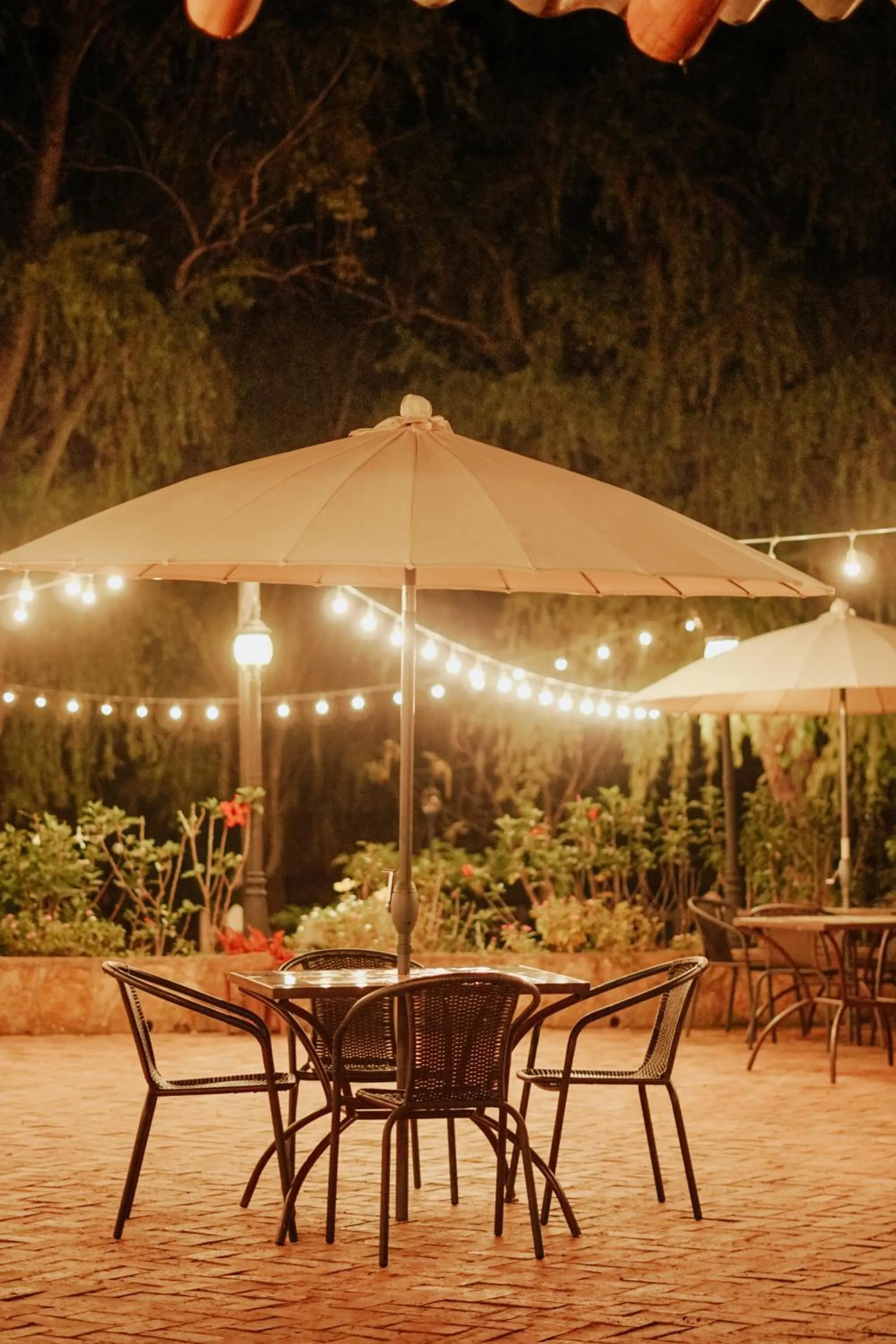 Restaurant/places to eat in Elephantia Spa Hotel