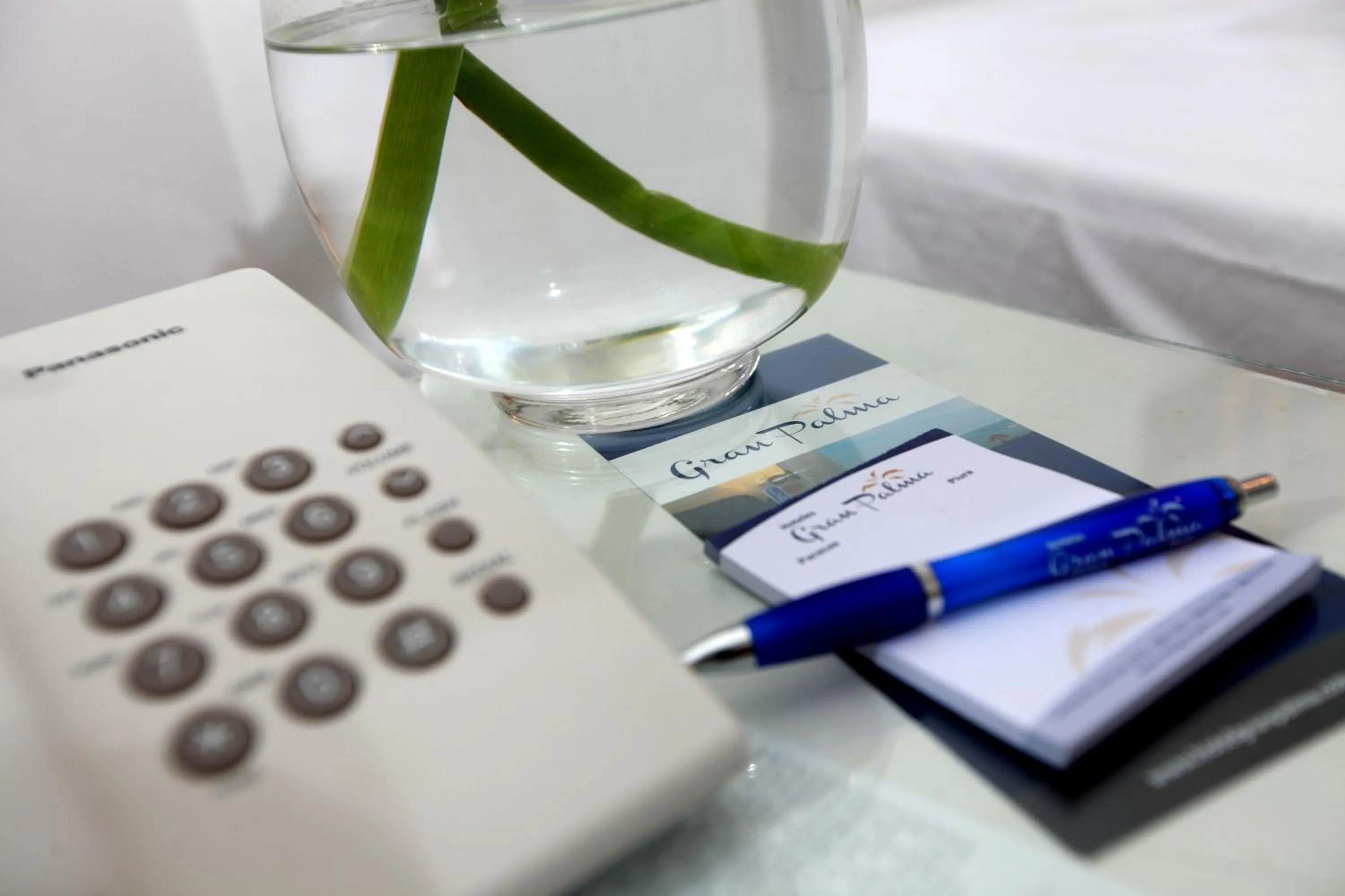 Decorative detail in Hotel Gran Palma Piura