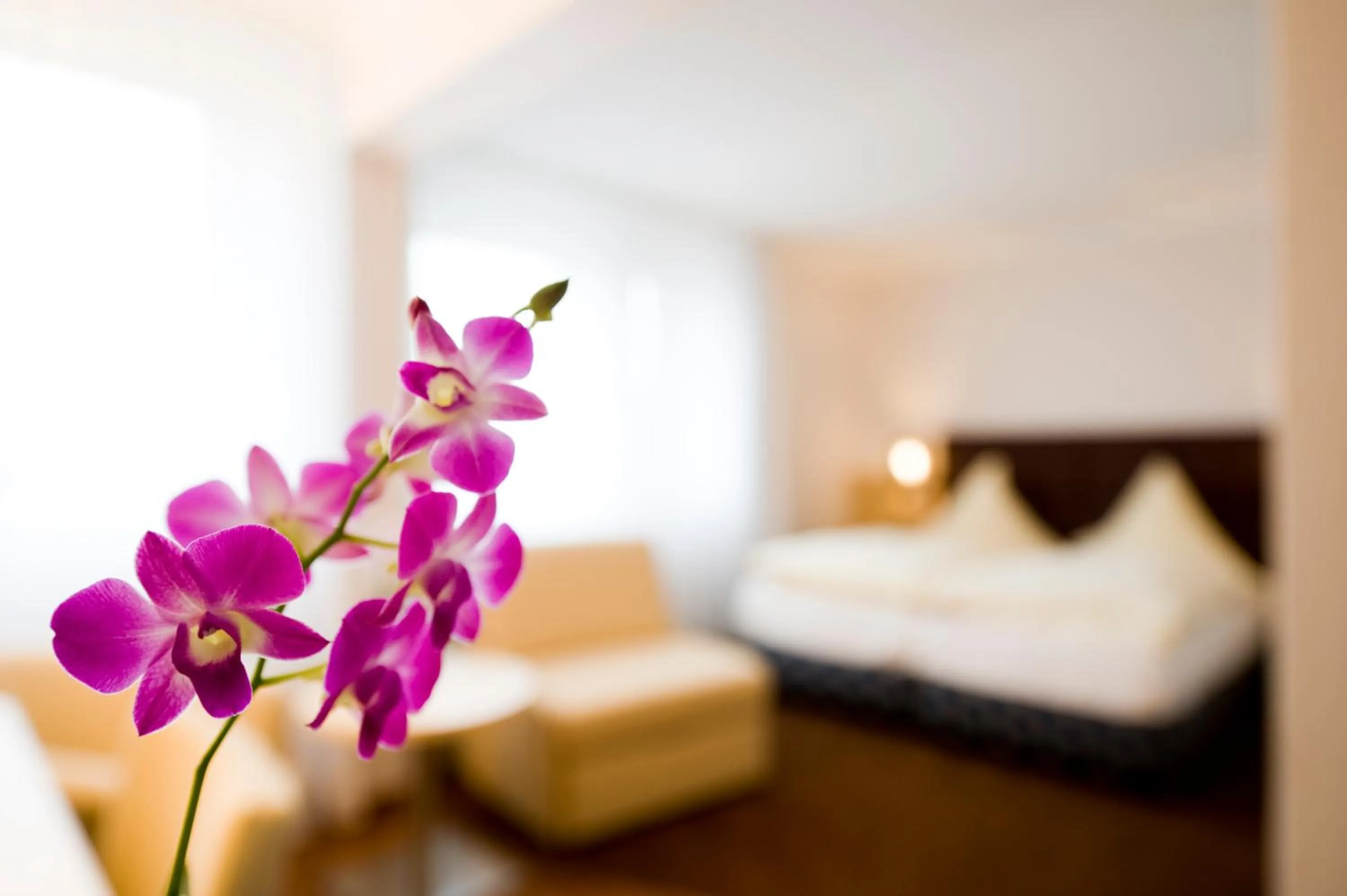 Decorative detail, Bed in Hotel Lücke Rheine