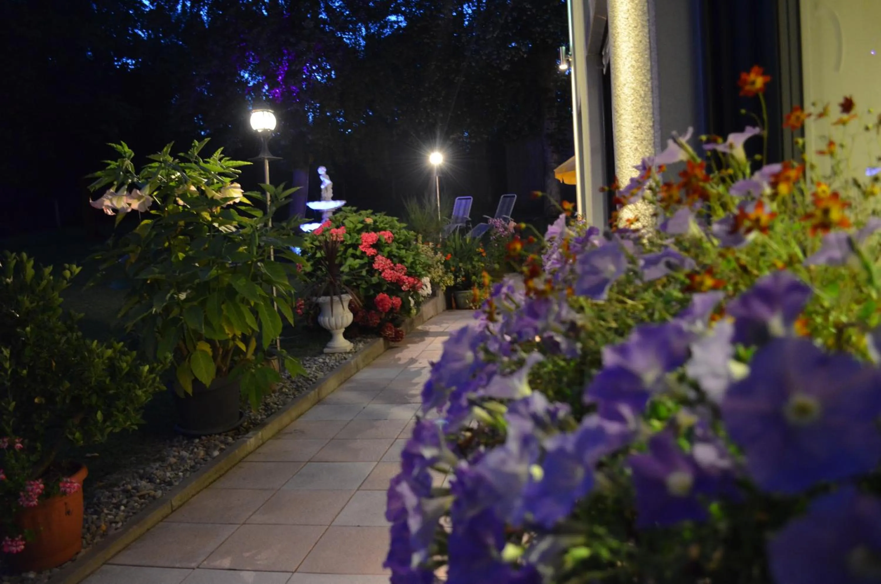 Night in ROTHSEE Hotel