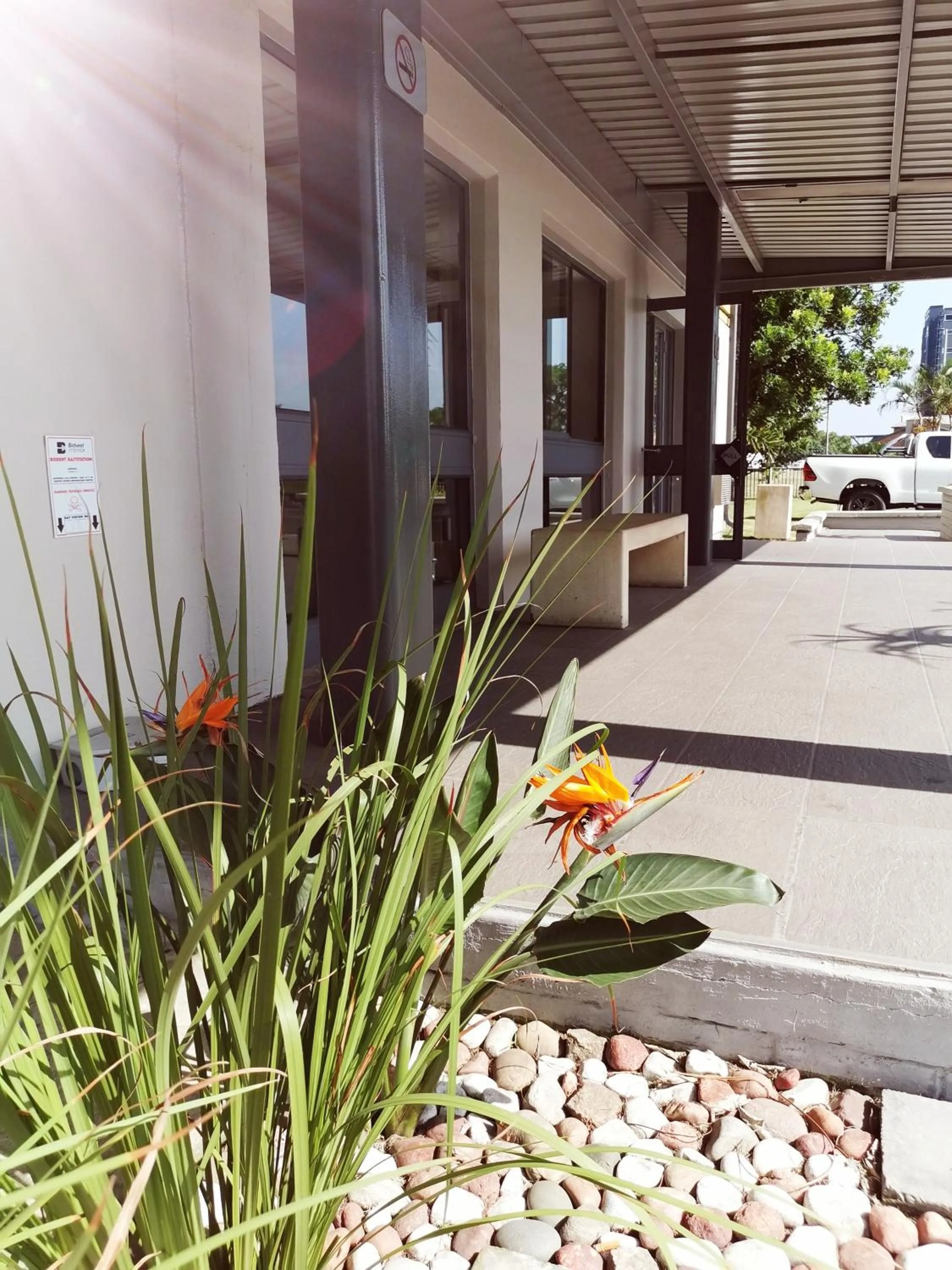 Garden in SUN1 Richards Bay