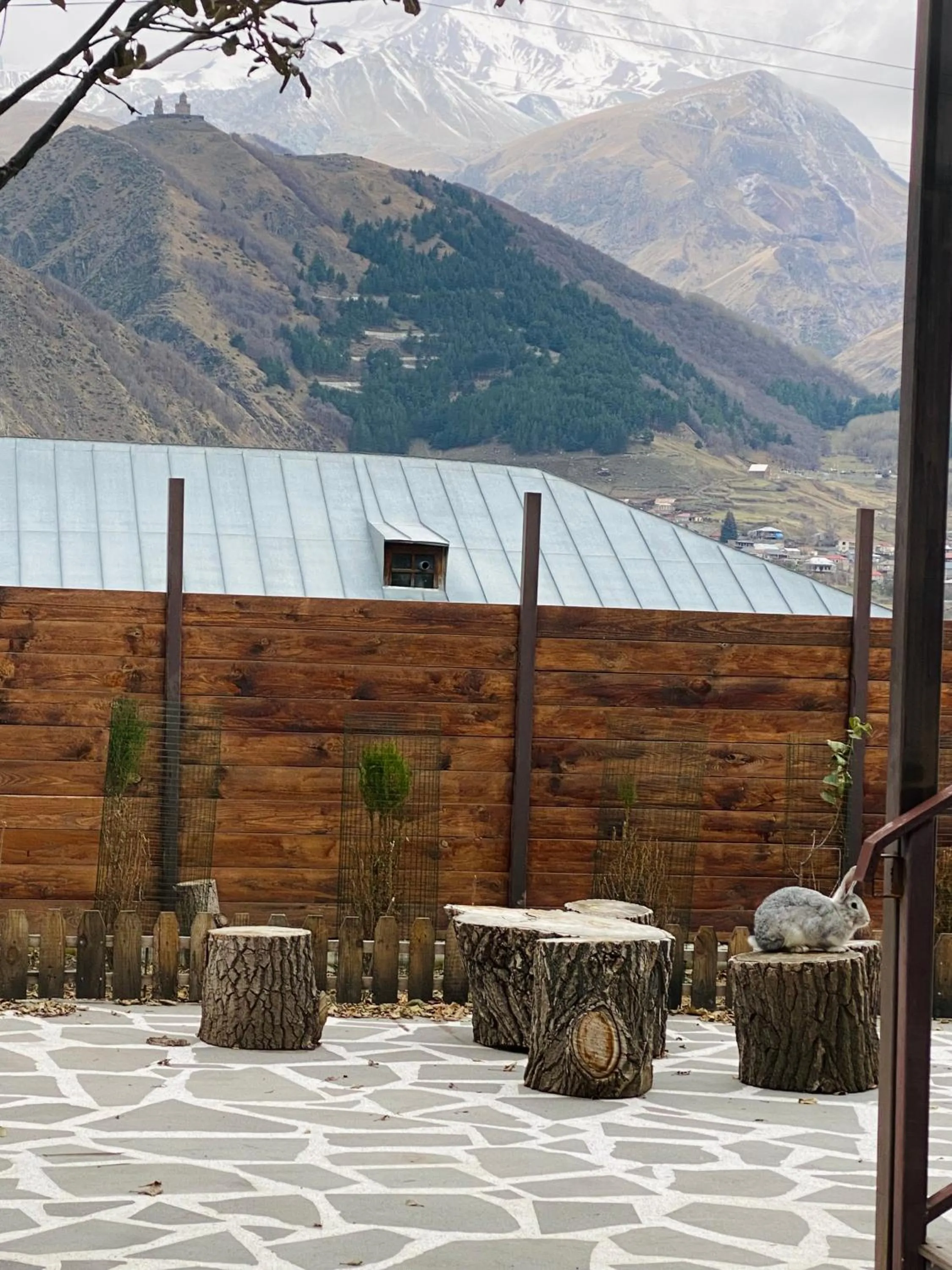 Pets in HOTEL KAZBEGI 1963