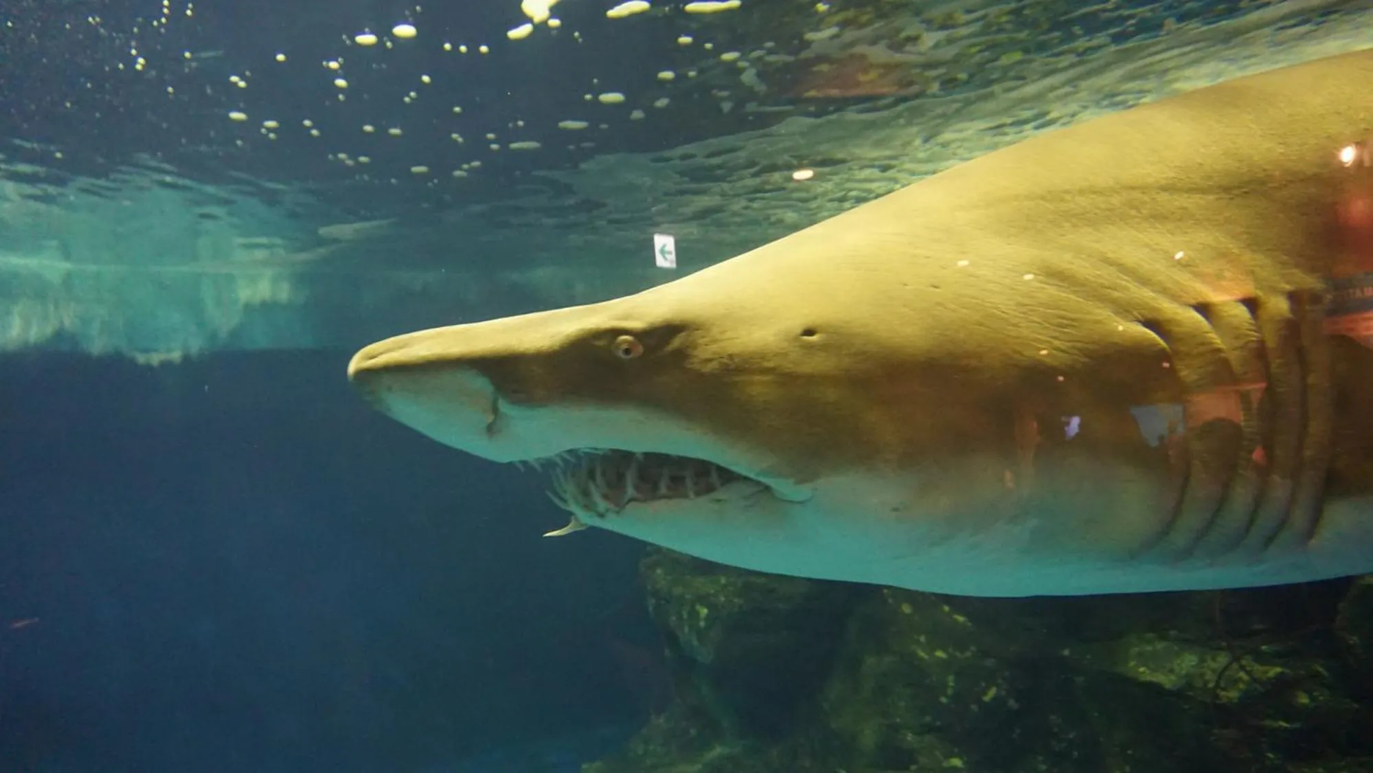 Off site in Toyoko Inn Tokyo Haneda Airport No.1