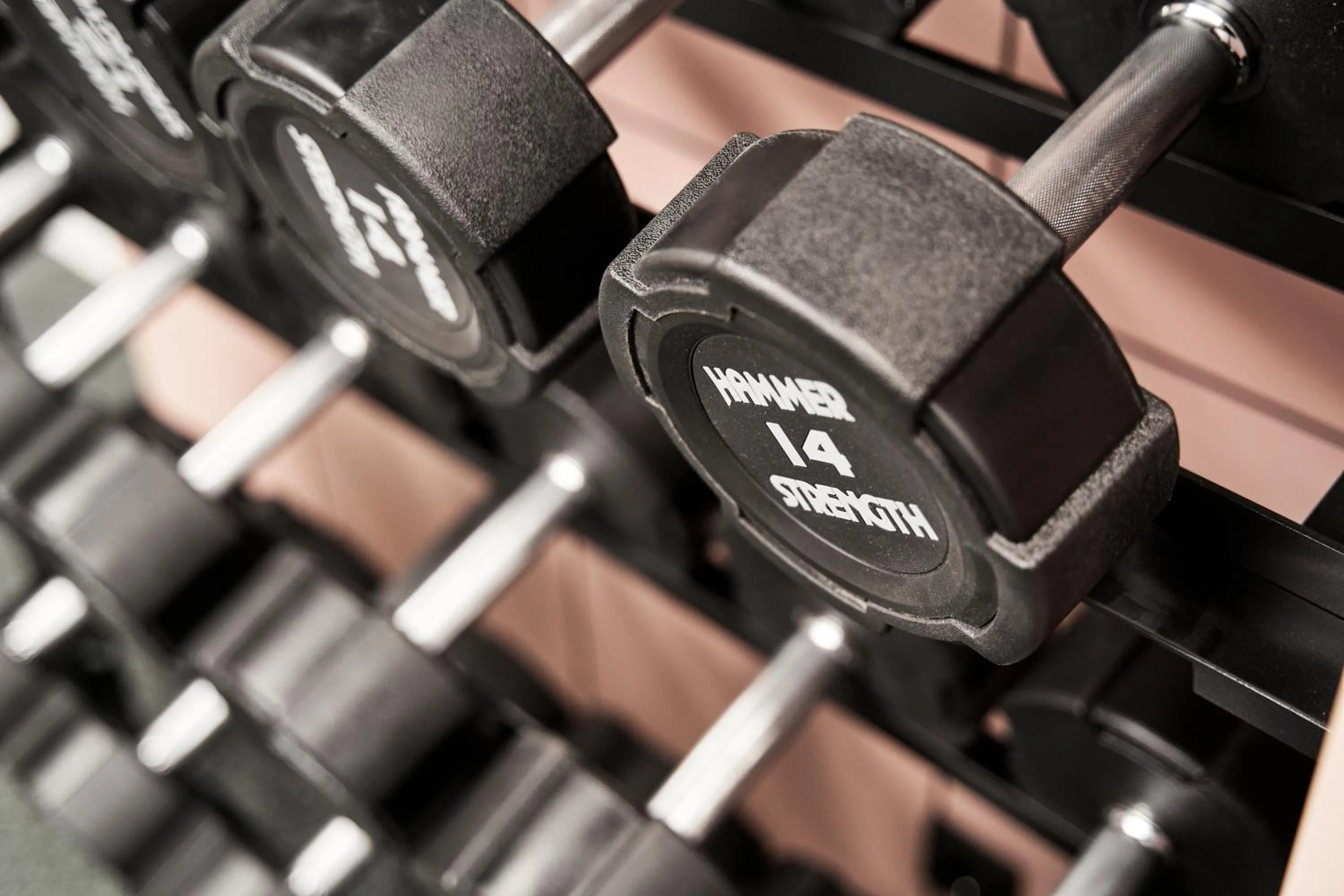 Fitness centre/facilities in Schwan Locke